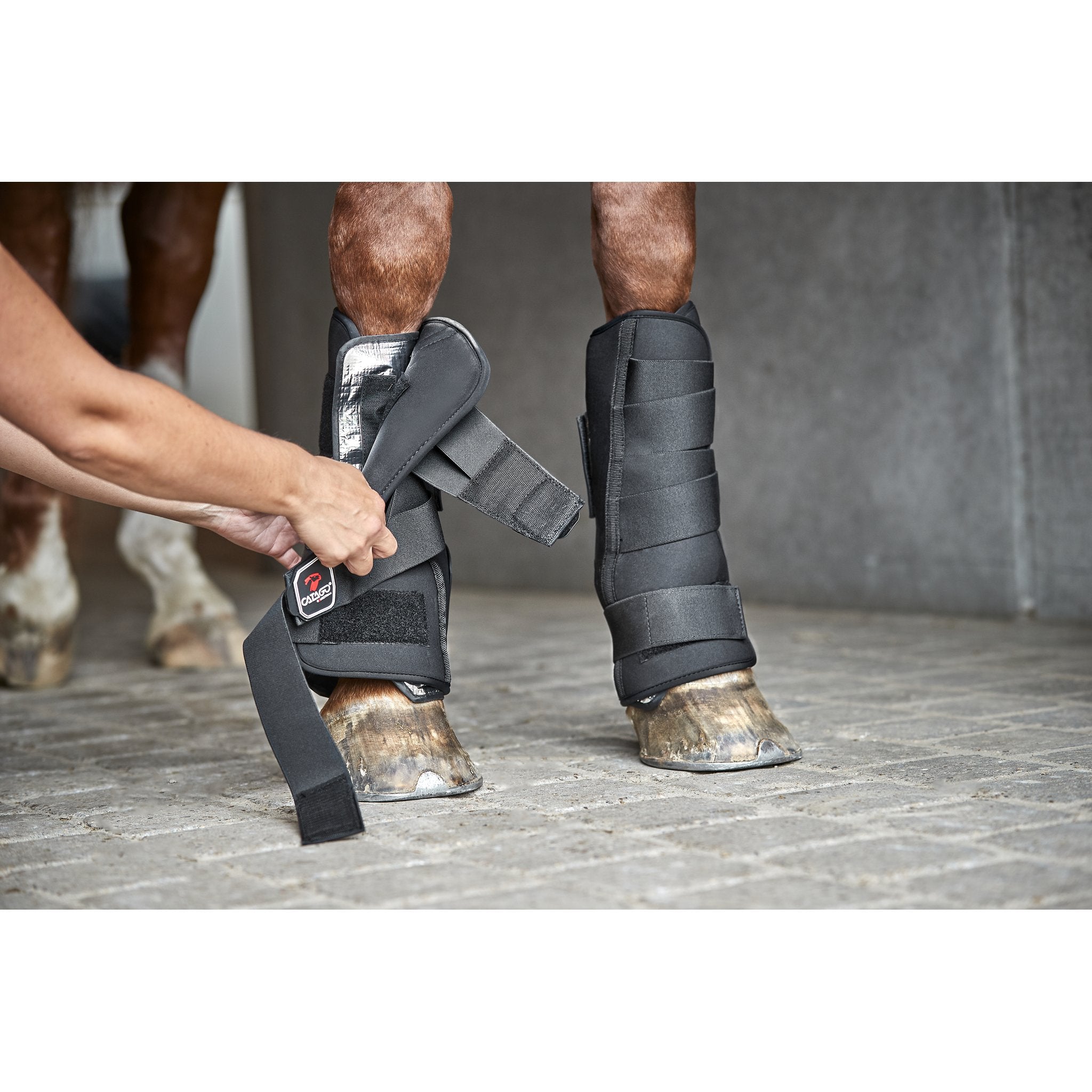 CATAGO Stallbandage