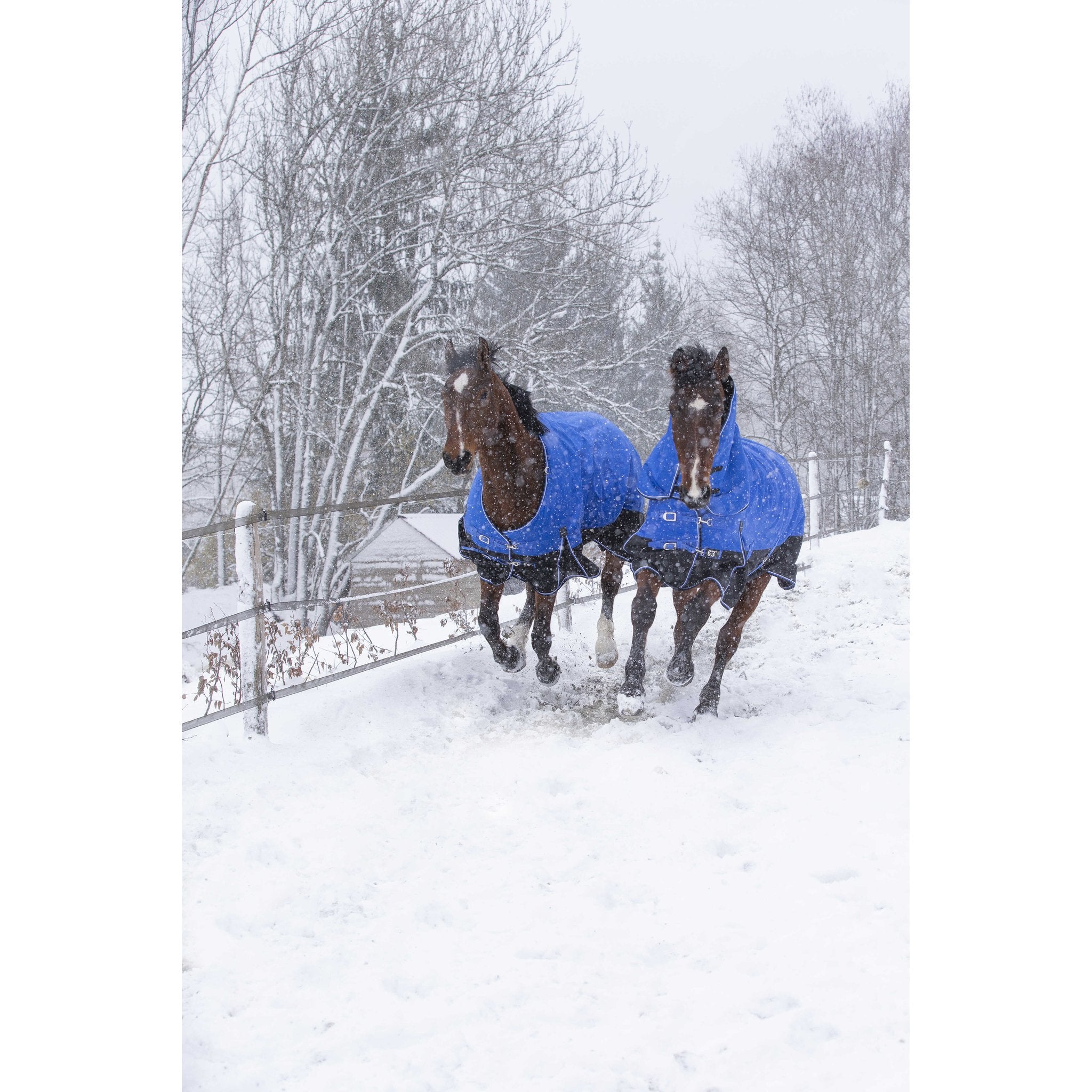 Equithème TYREX Aisance 1200D hög hals täcke 300 g