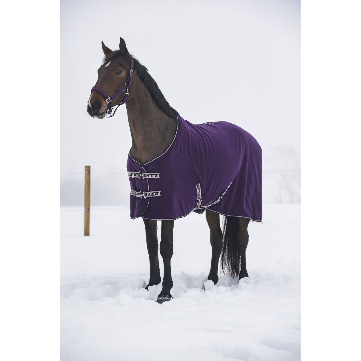 Horse Guard Layne fleece täcke m/teddy
