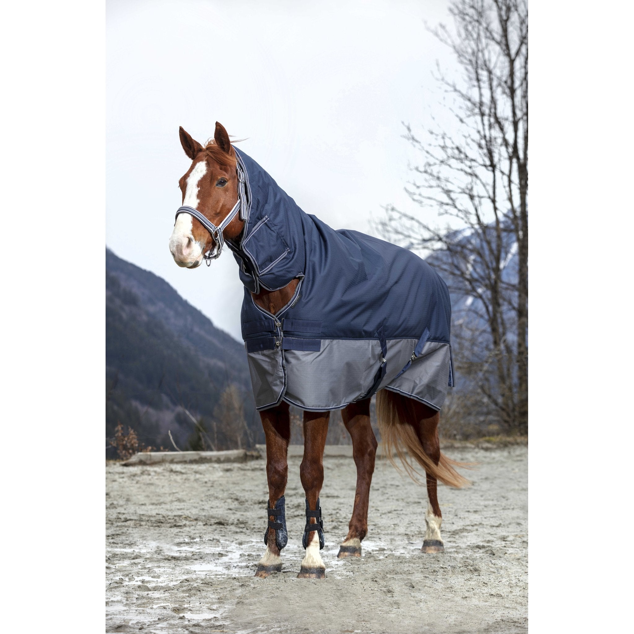 Equithème TYREX 600D Combo utetäcke 200 g