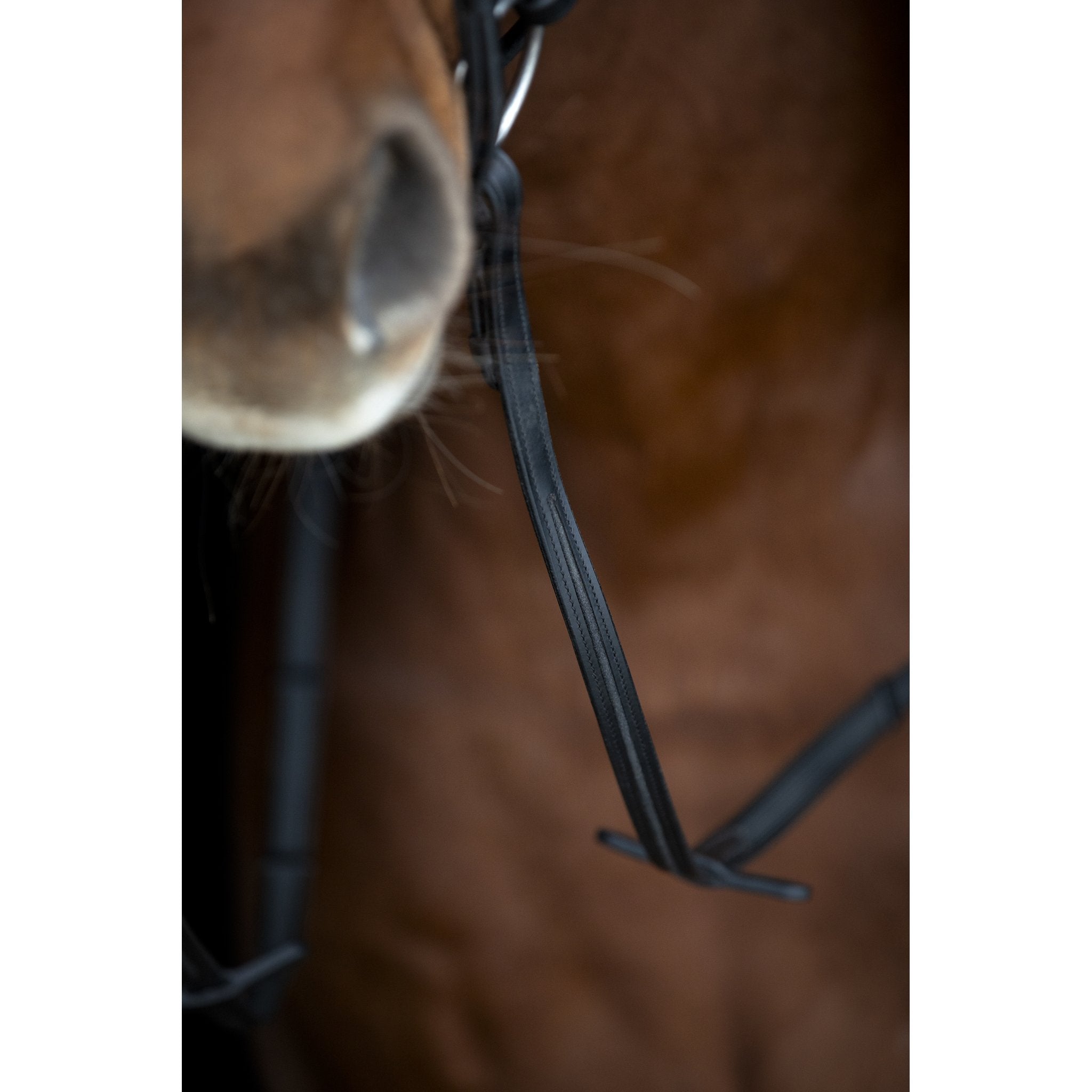 Horse Guard Cryll 26.2 träns med pull-back och kombinerat nosgrimma