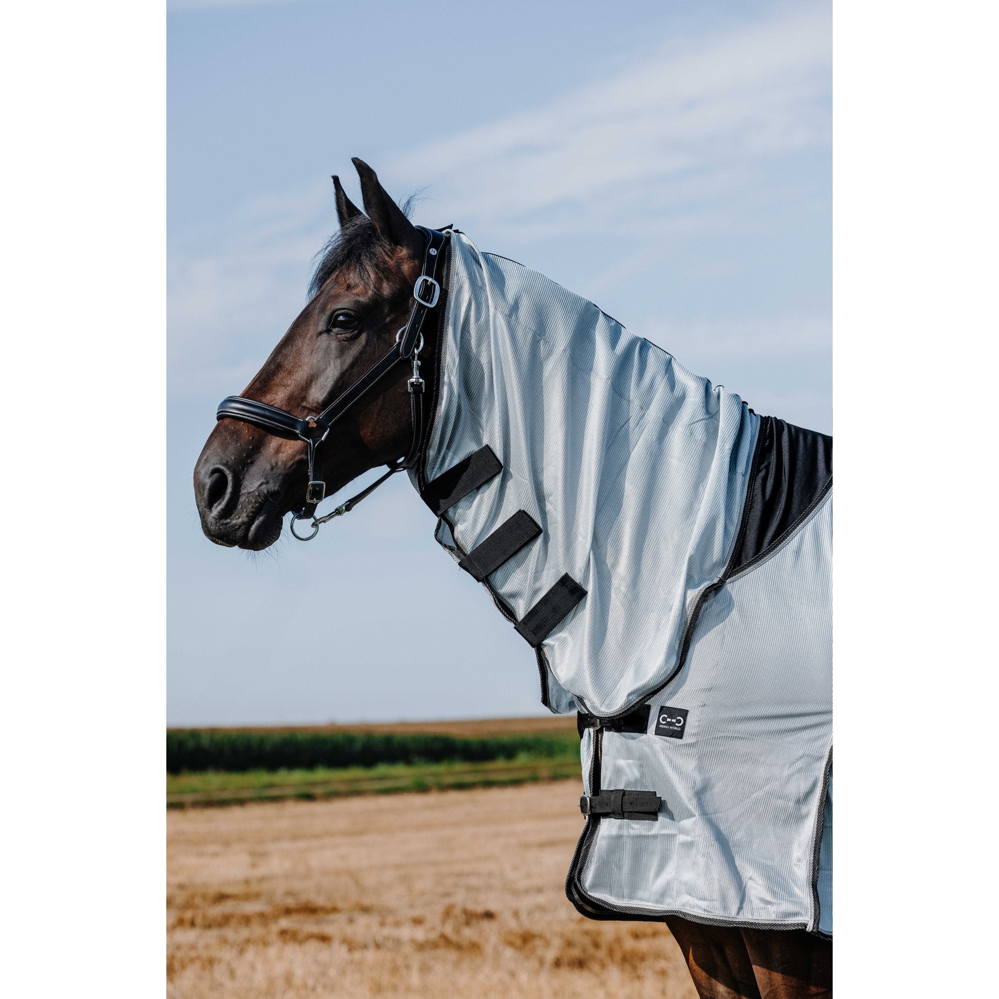 RIDING WORLD Belly Mesh Flugtäcke med hals