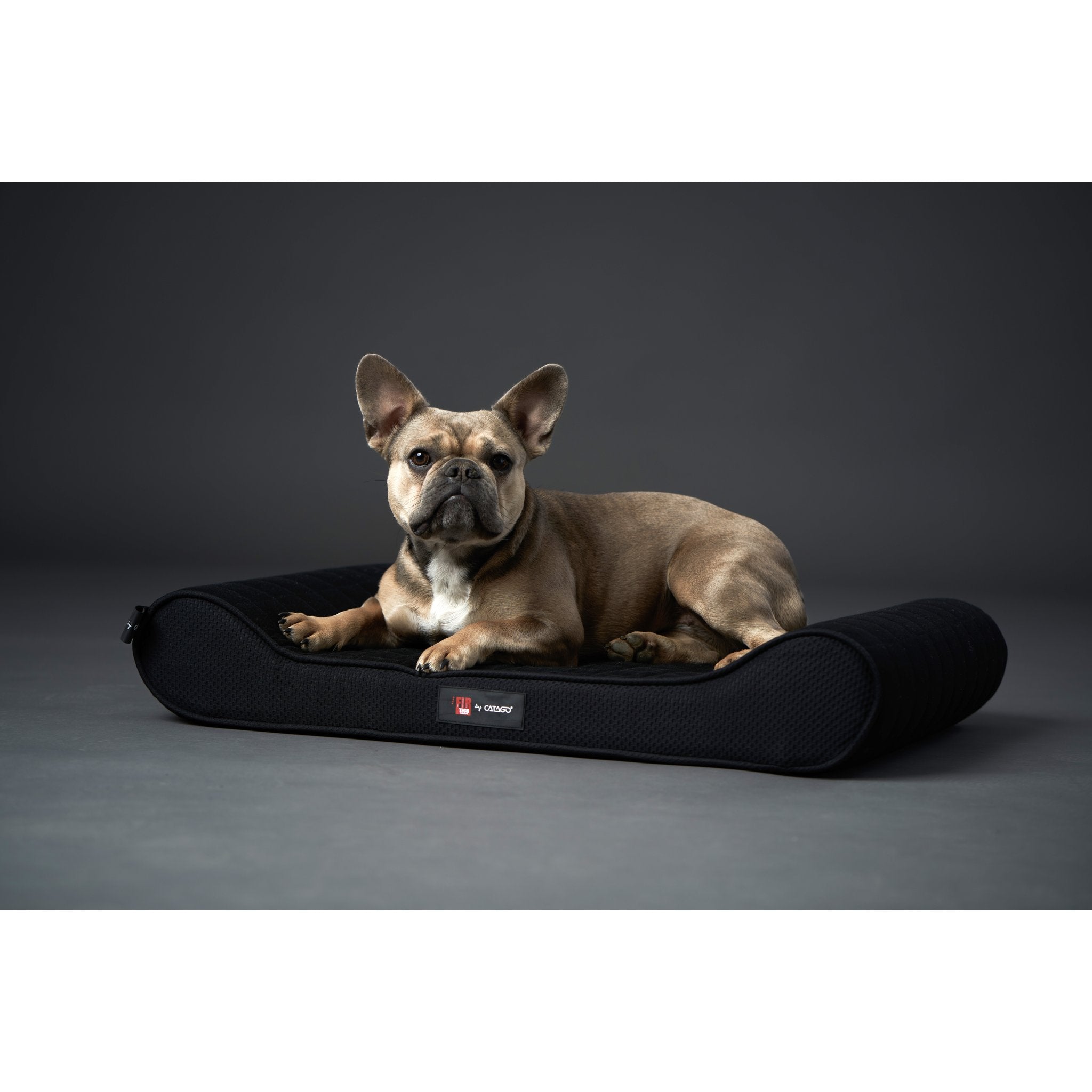 CATAGO FIR-TECH dog pillow