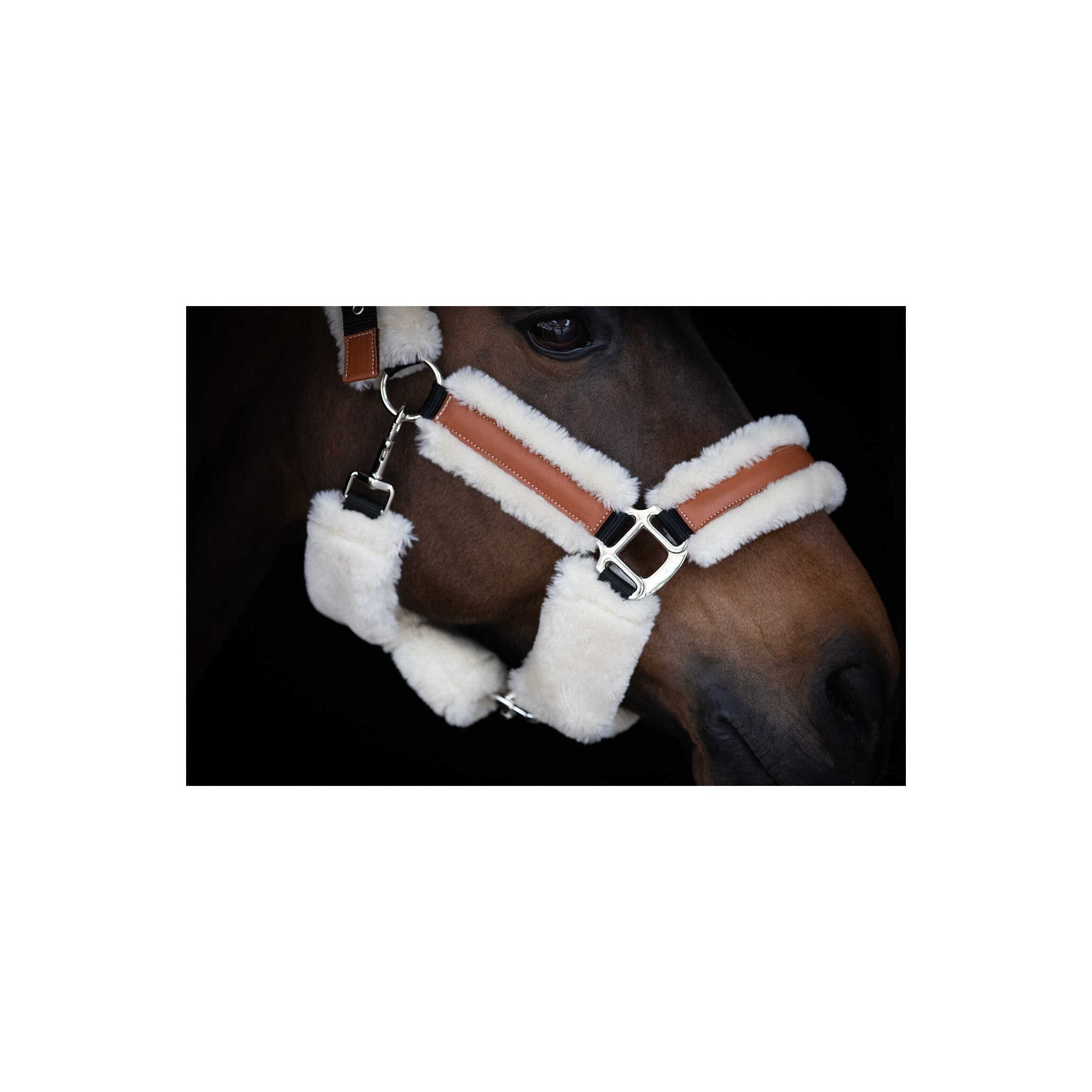 PENELOPE Soft Grimma