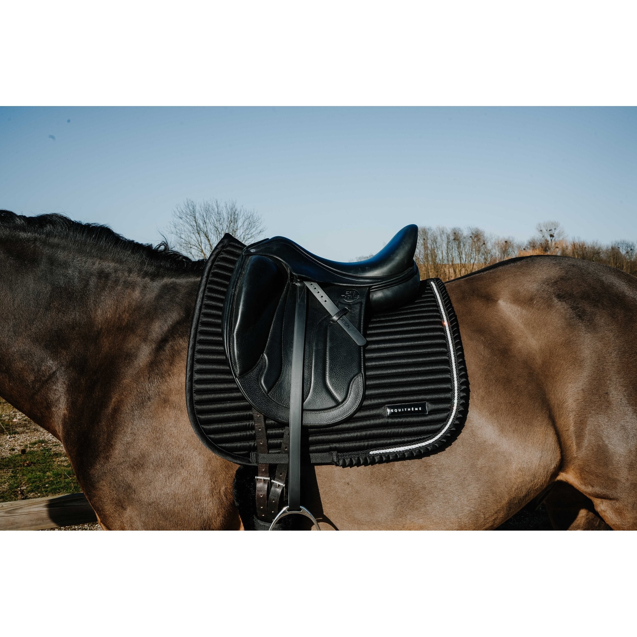 Equitheme Glam Dressyrschabrak