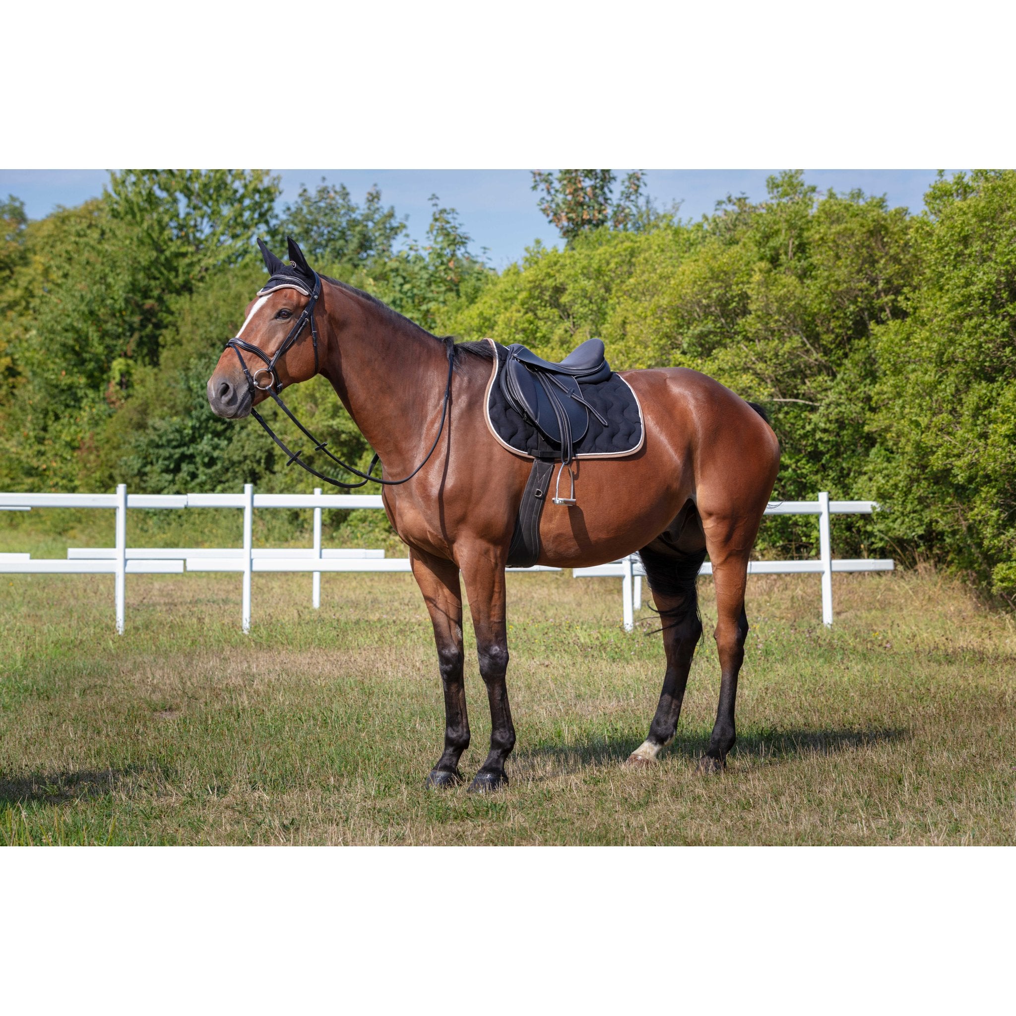 Equithème Polyfun Schabrak
