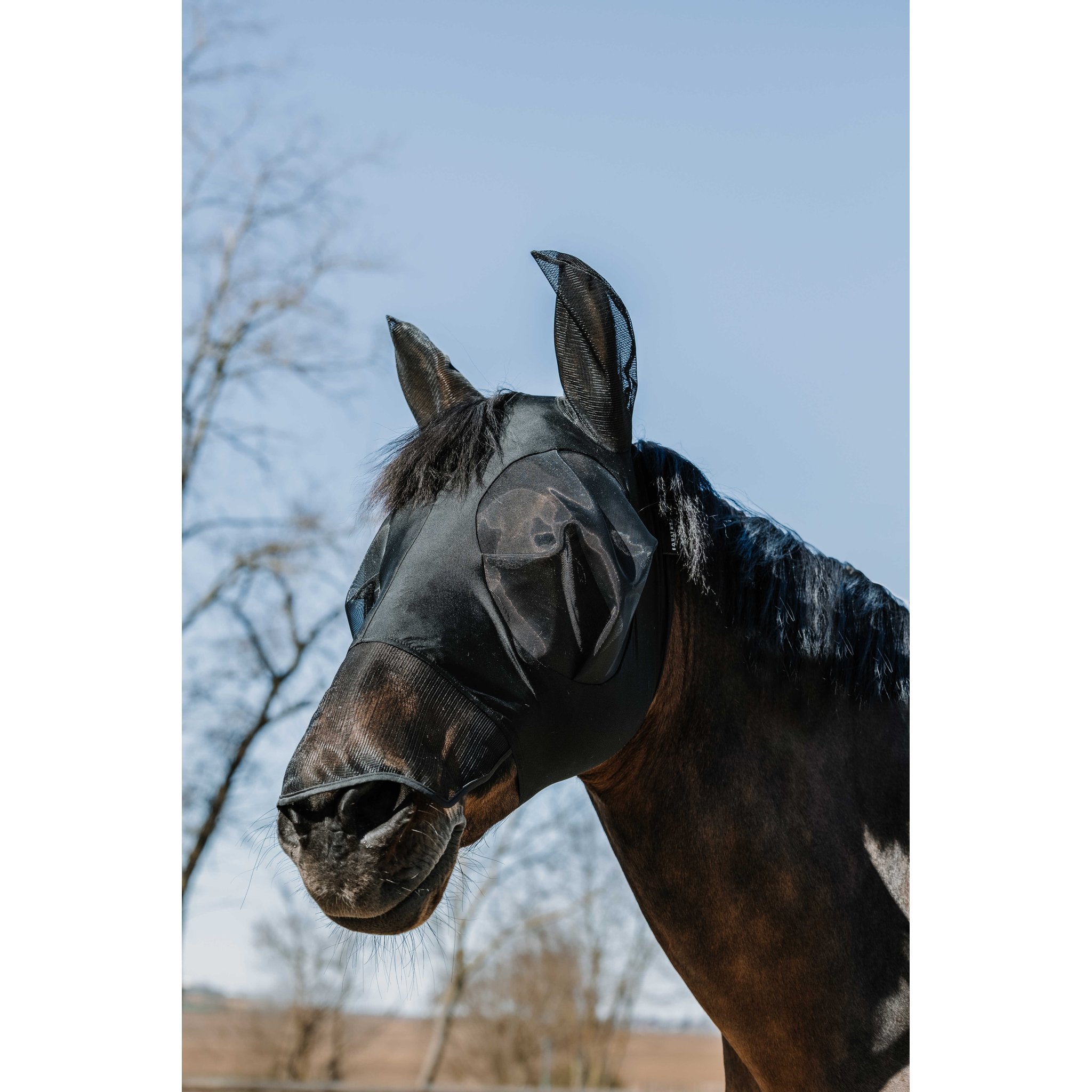 Equithème Lycra Flugluva/UV-mask + nosskydd