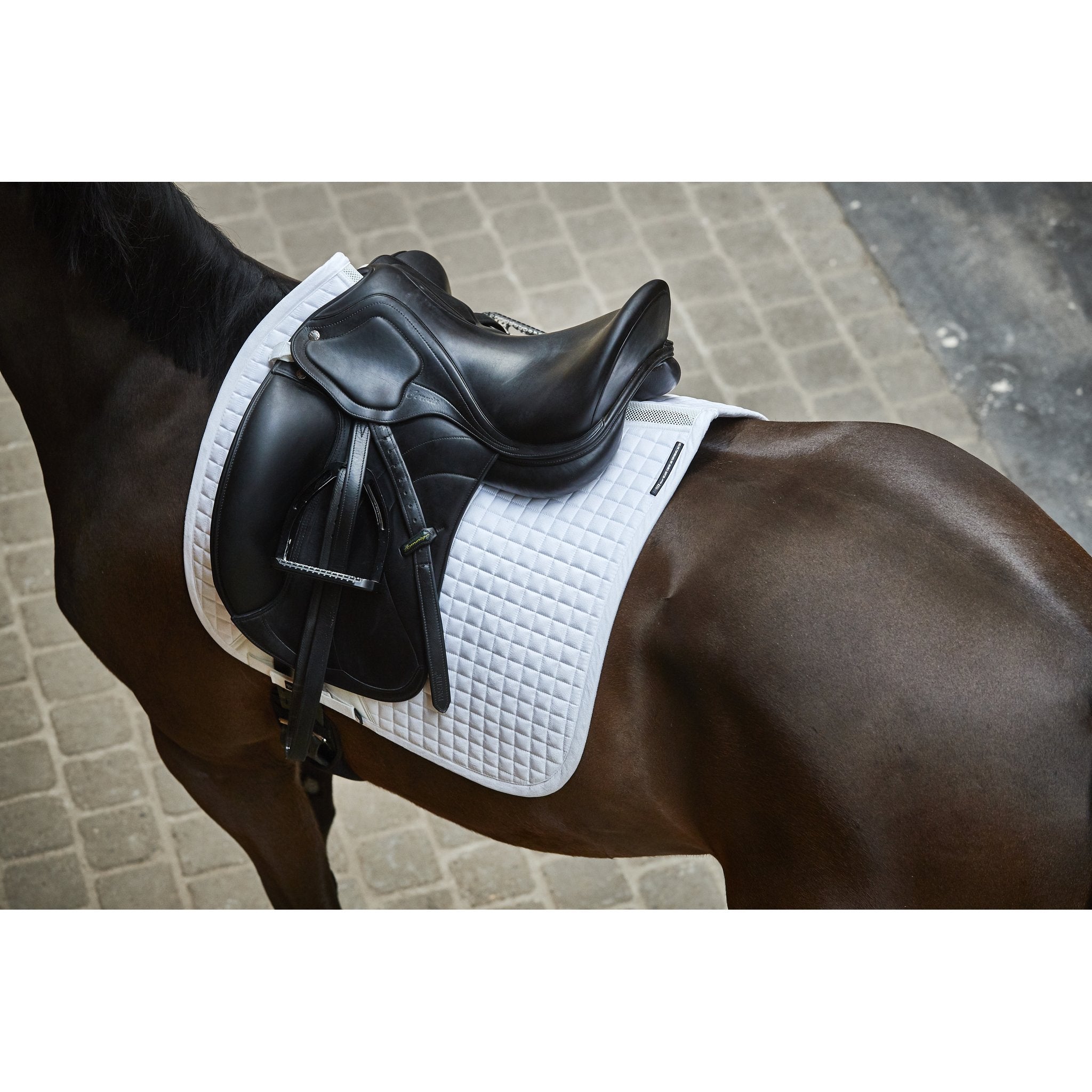 CATAGO FIR-Tech Performance schabrak Dressyr