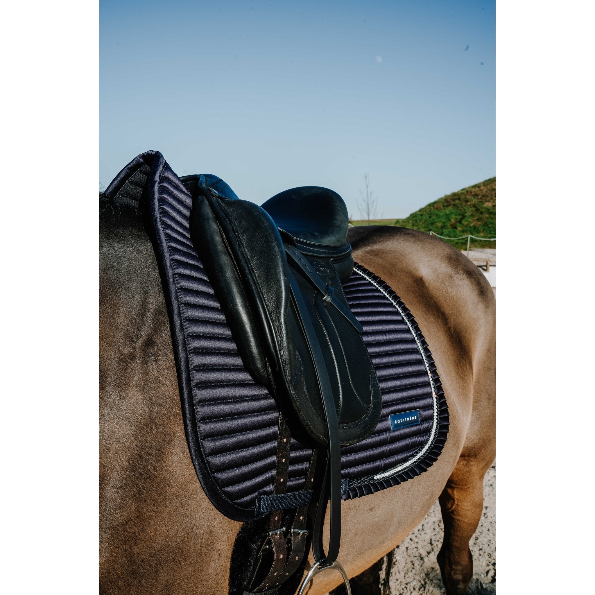 Equitheme Glam Dressyrschabrak
