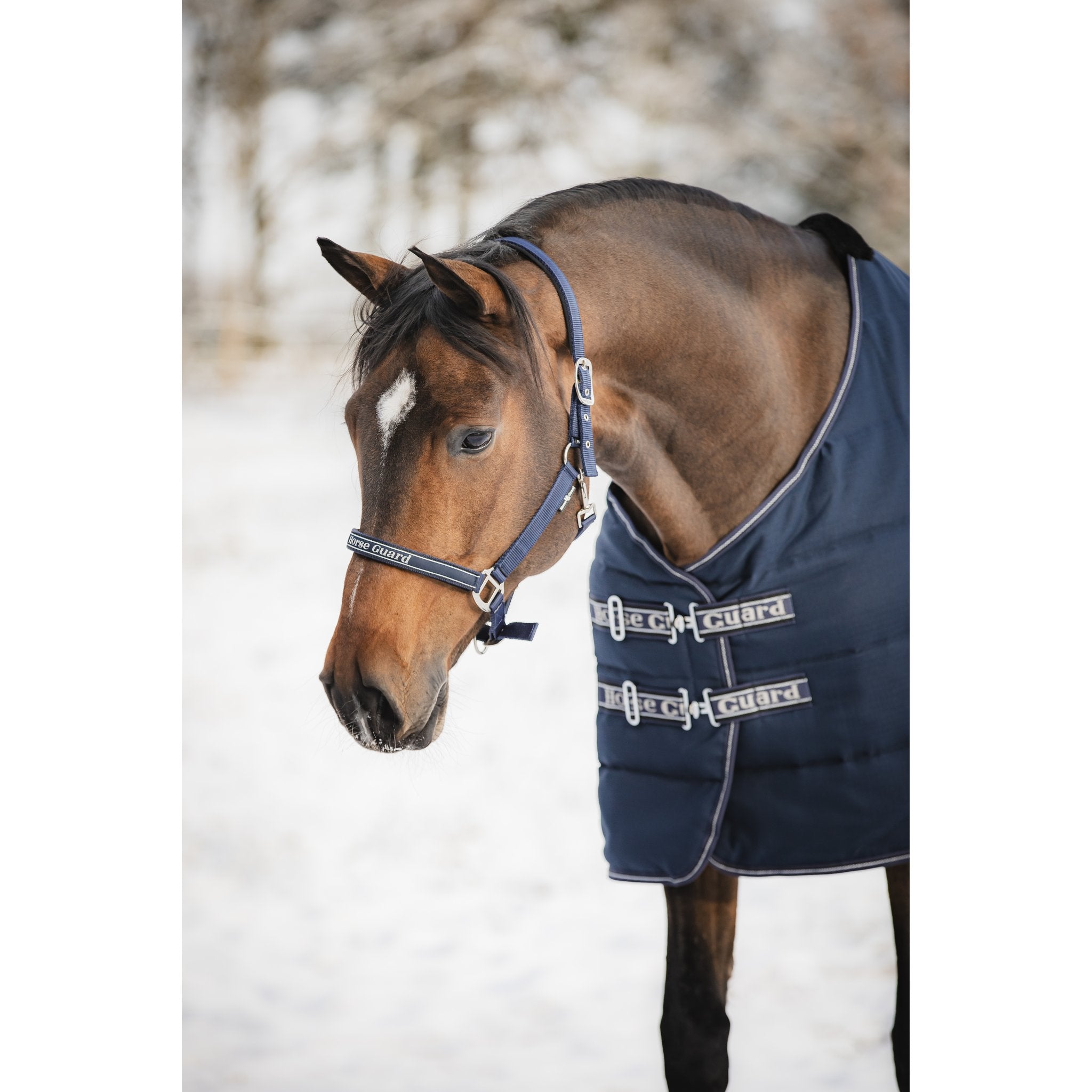 HorseGuard Sandra grimma