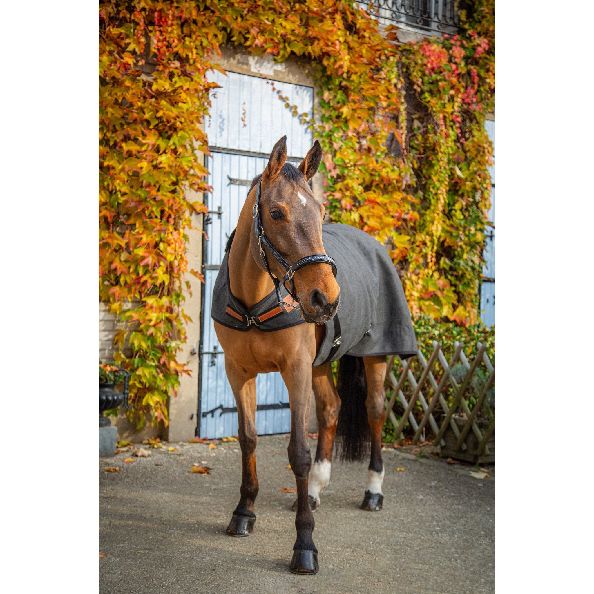 PADDOCK Woolt skrittmaskinstäcke