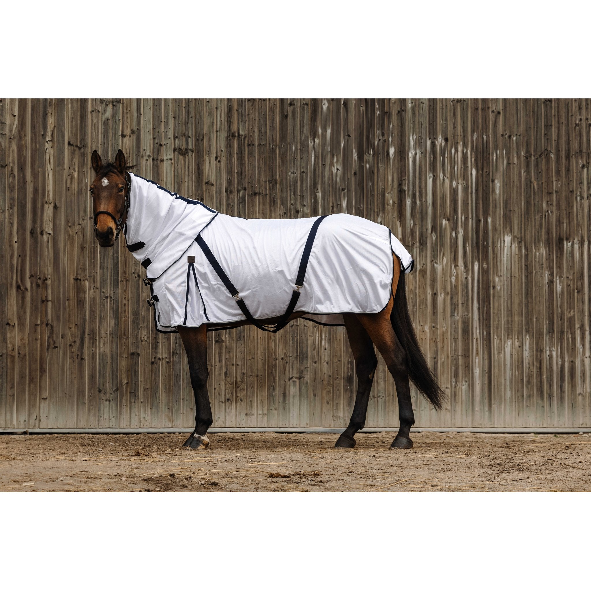 Halstäcke Equithème Mesh Anti Insekt 0 g