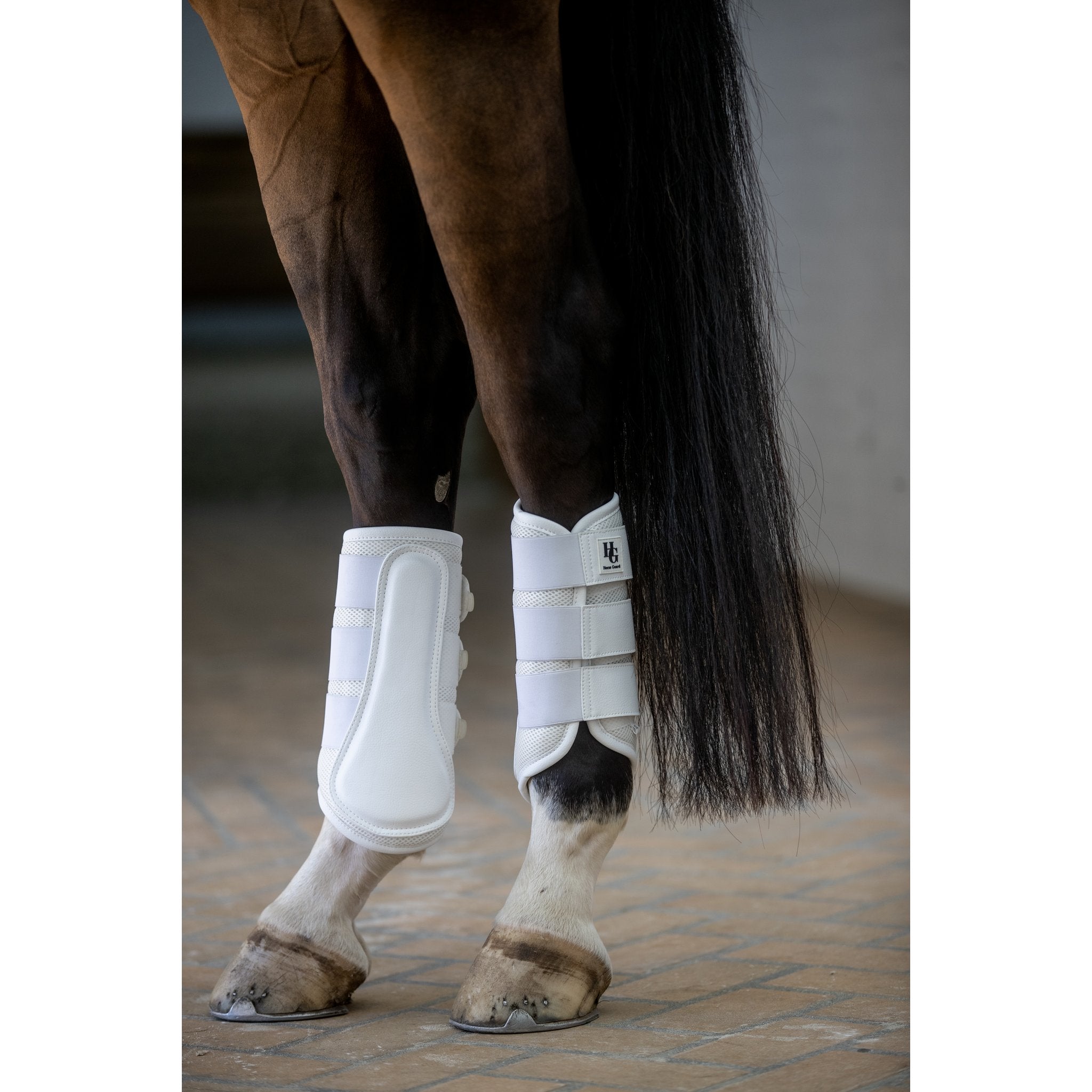 HorseGuard Timothy mesh dressyrskydd