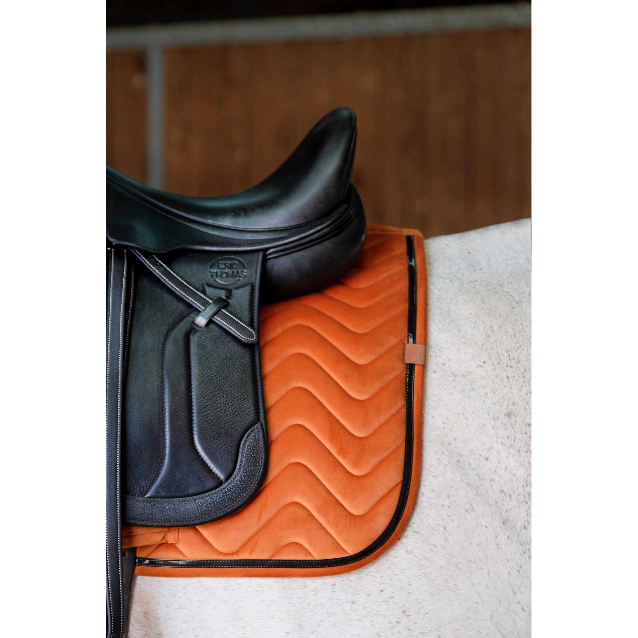 Equithème Glossy Schabrak Dr