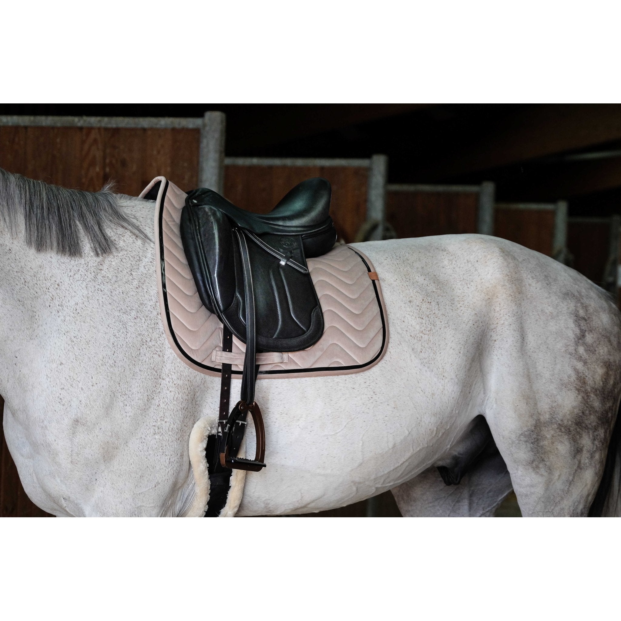 Equithème Glossy Schabrak Dr