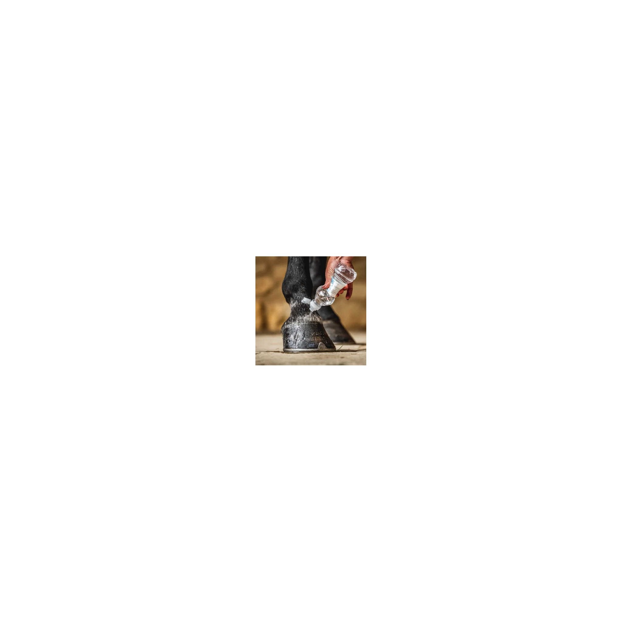 CARR & DAY & MARTIN - Daily Hoof Barrier Cornucrescine - Hoof Oil