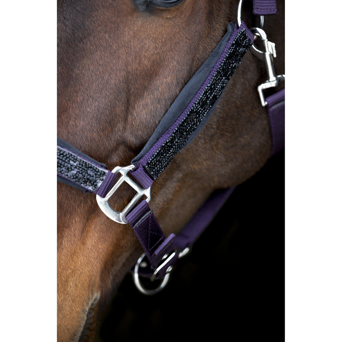 Horse Guard Angel grimma med glitter