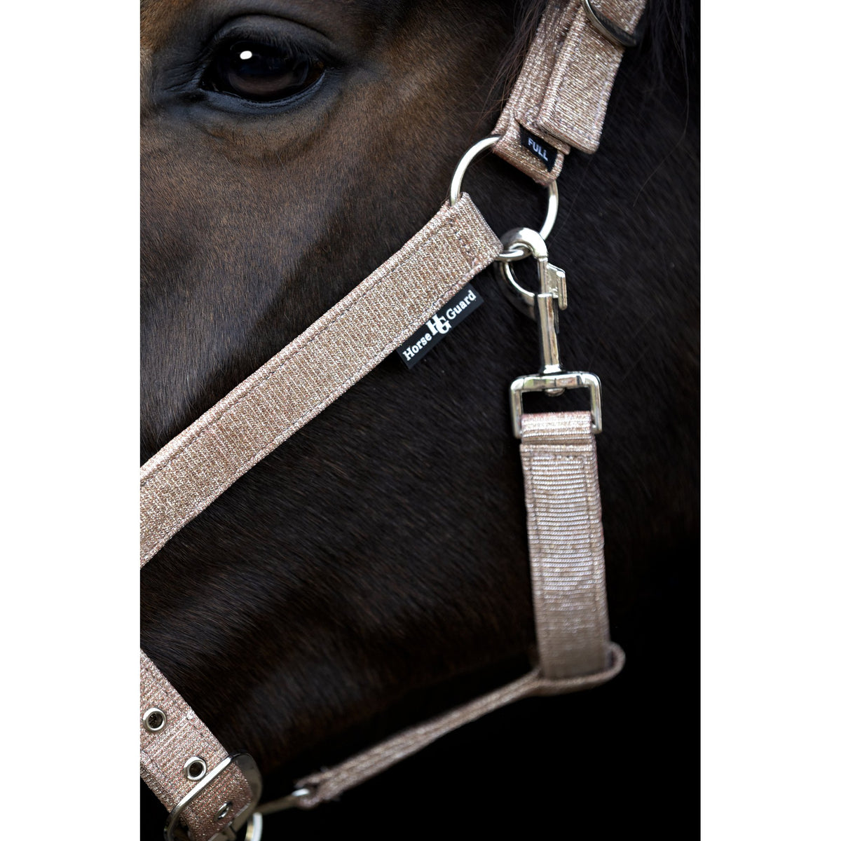 Horse Guard Iowa färgskiftande glittergrimma