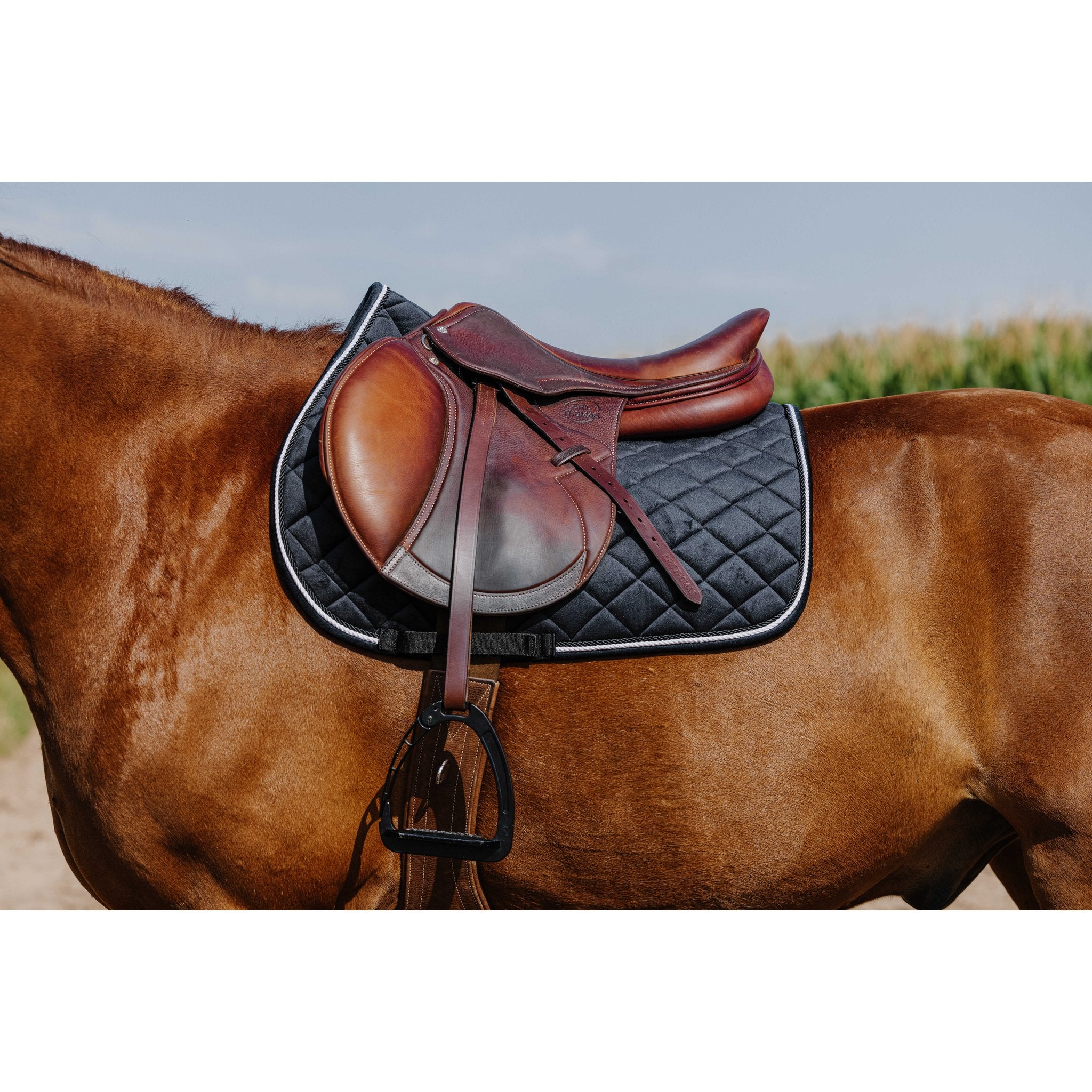 RIDING WORLD Velours Hoppschabrak