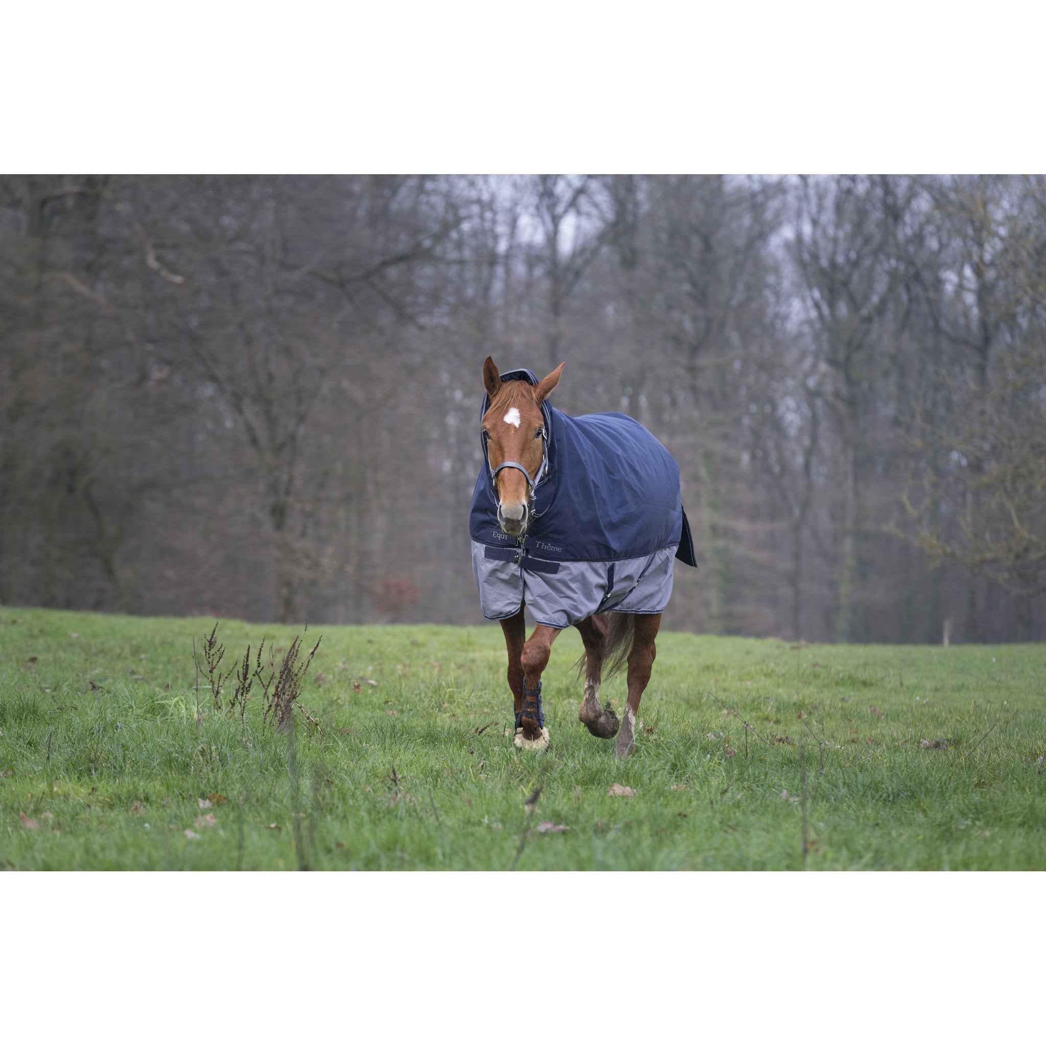 Equithème TYREX 600D Combo utetäcke 200 g