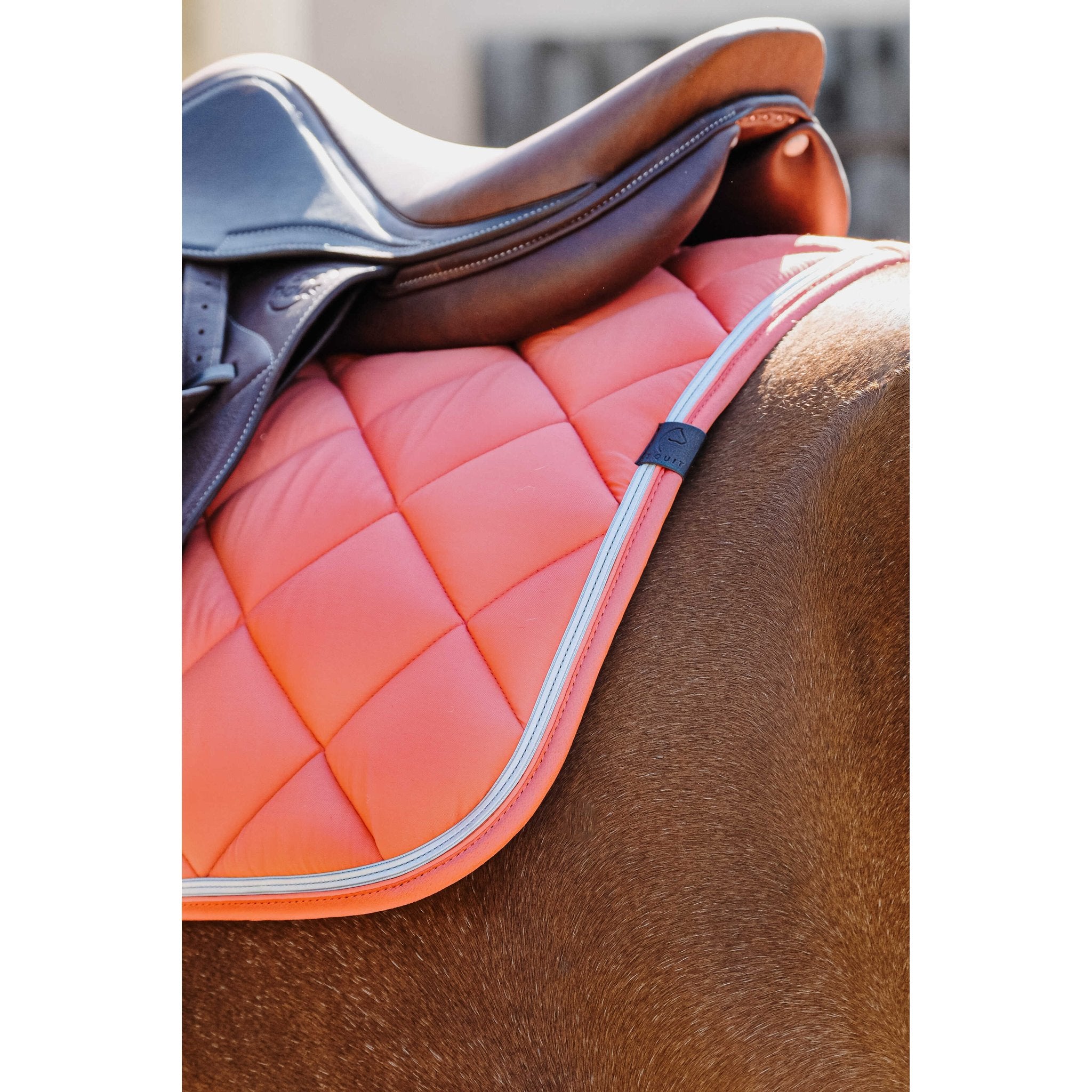 Equithème Classic Schabrak