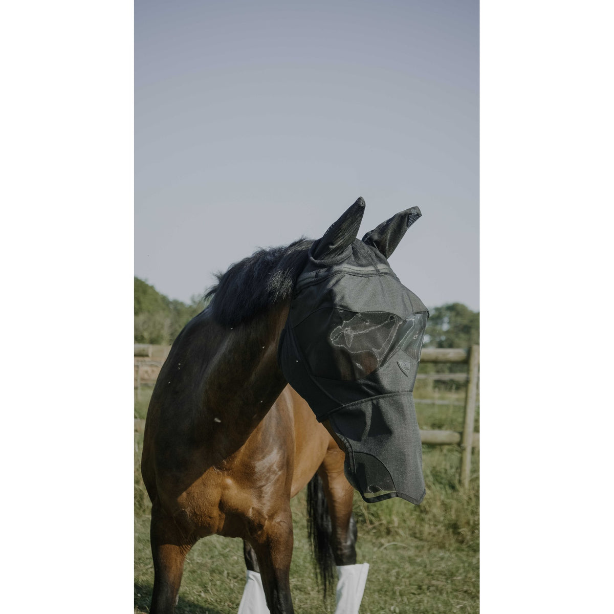 Pro Series Visor flugmask
