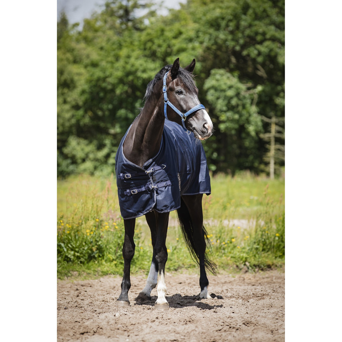 HorseGuard Landon 1200D Turnout täcke 100g