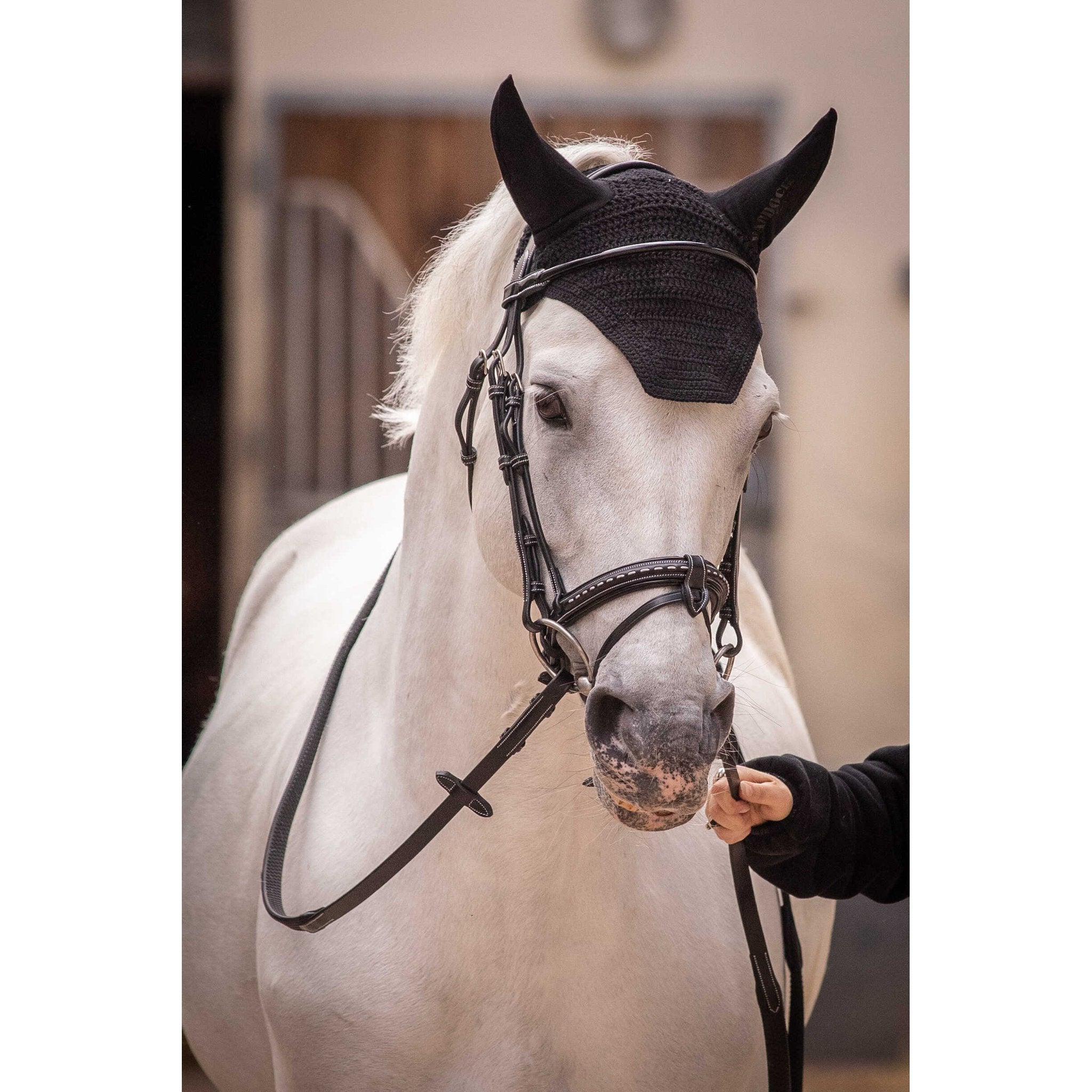 PADDOCK Pro coton luva