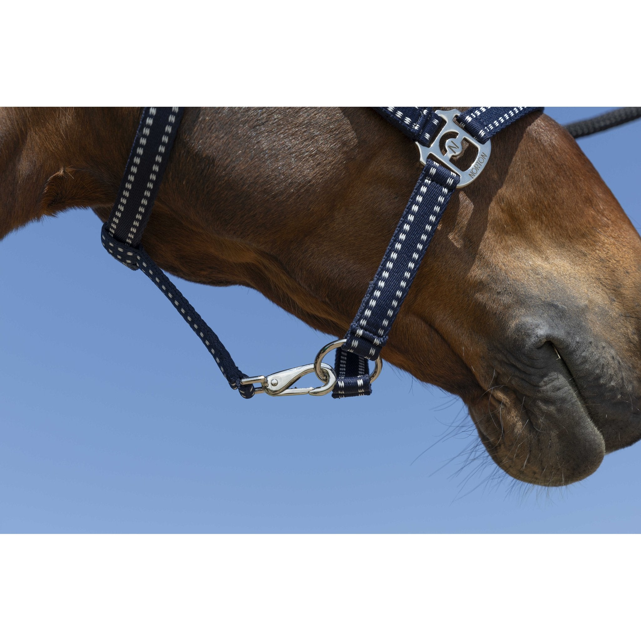 Norton Grooming grimma