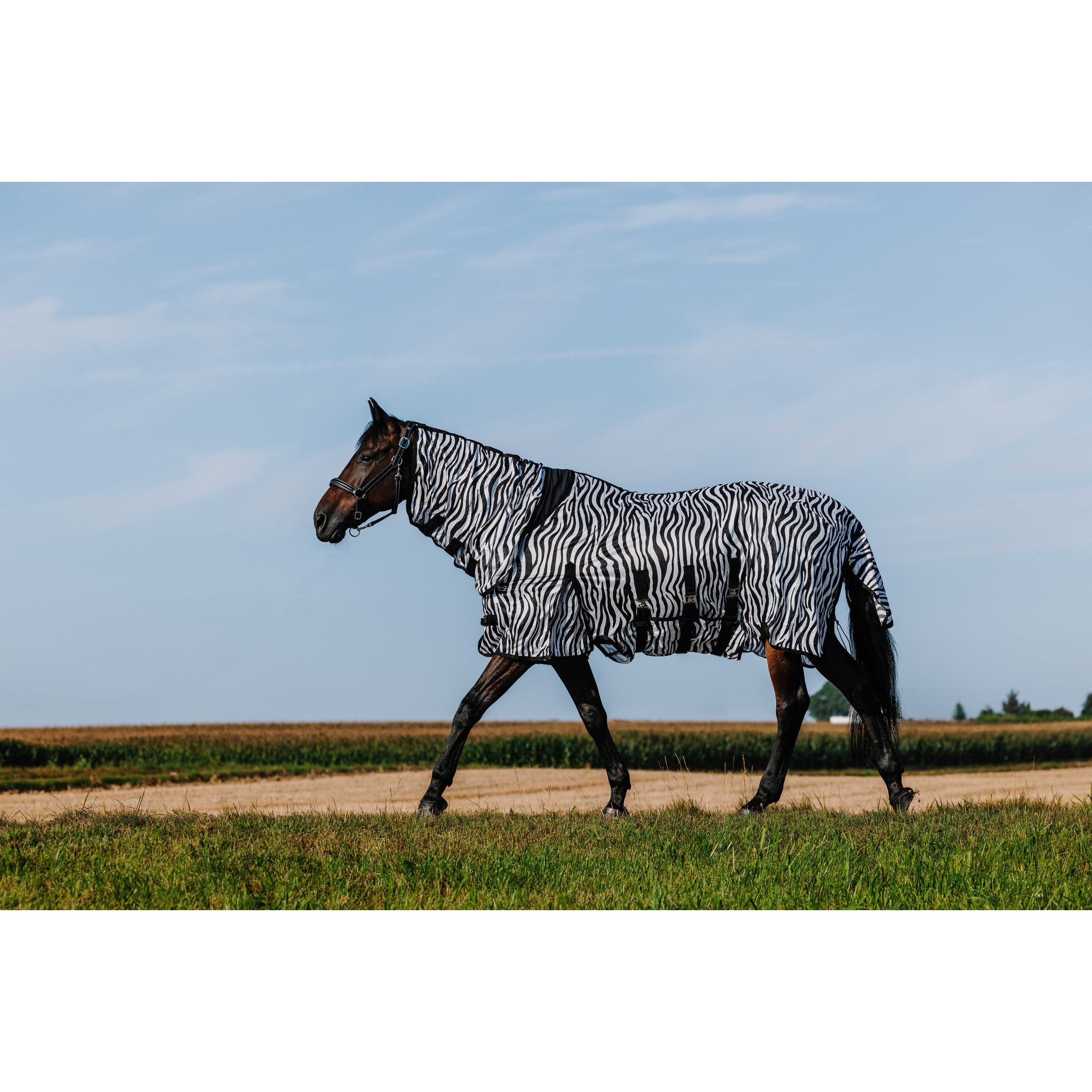 RIDING WORLD Belly Mesh Flugtäcke med hals