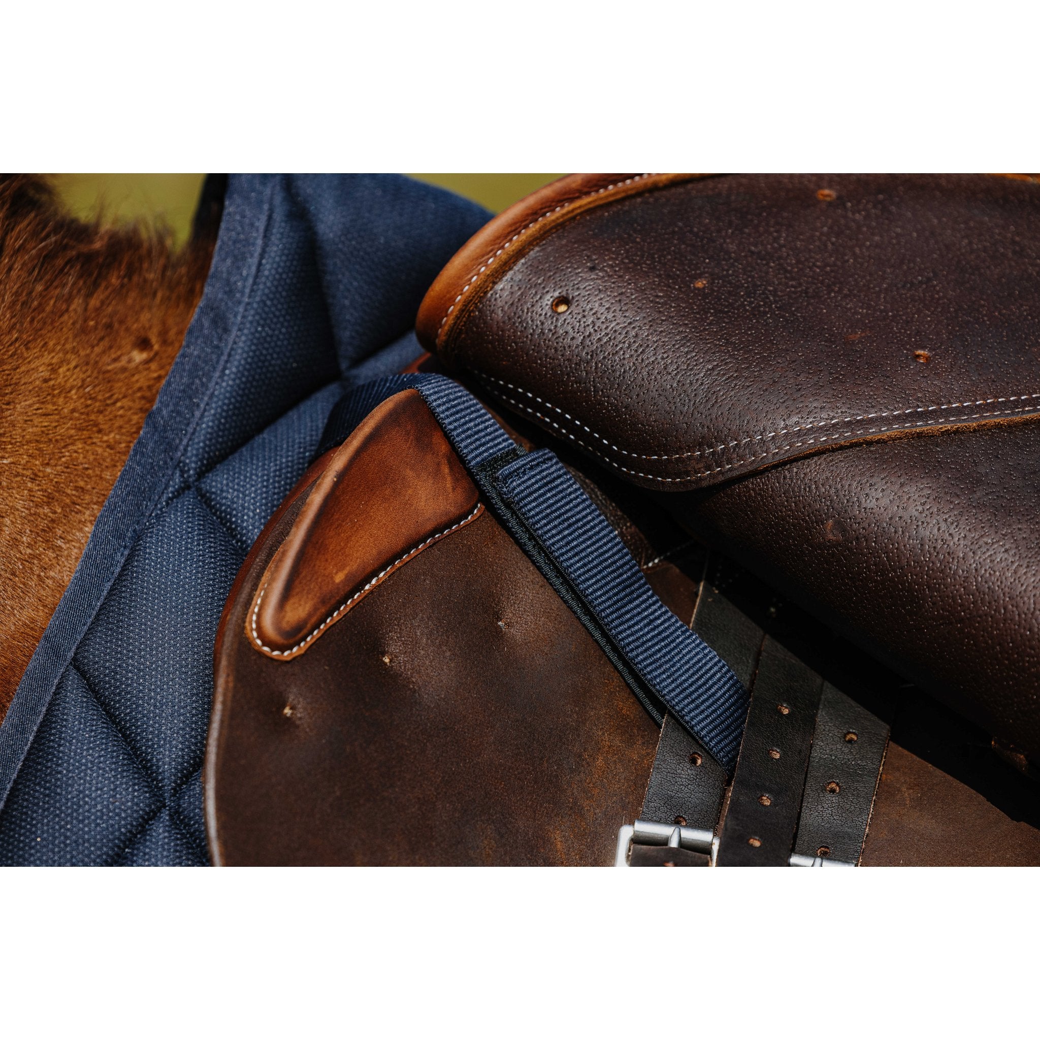 RIDING WORLD School Hoppschabrak