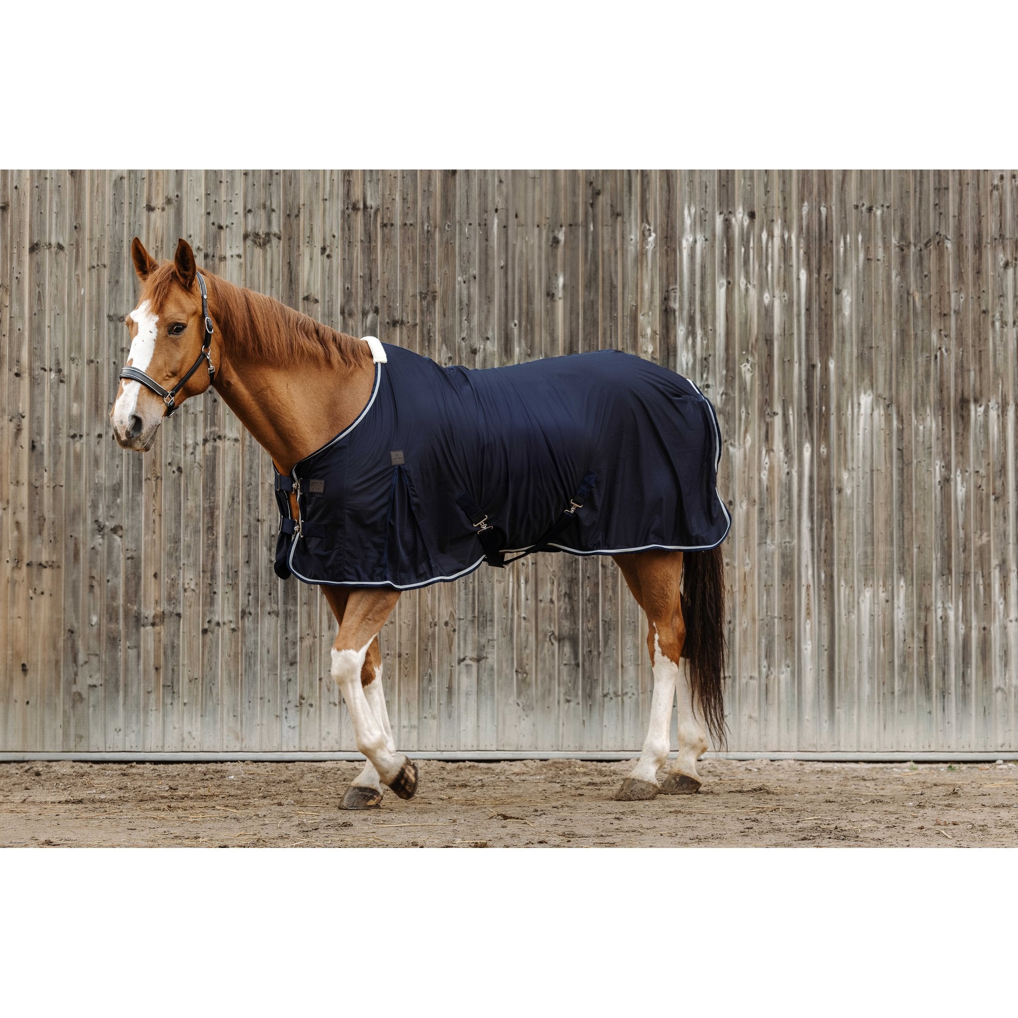 Equithème Micro Mesh Täcke