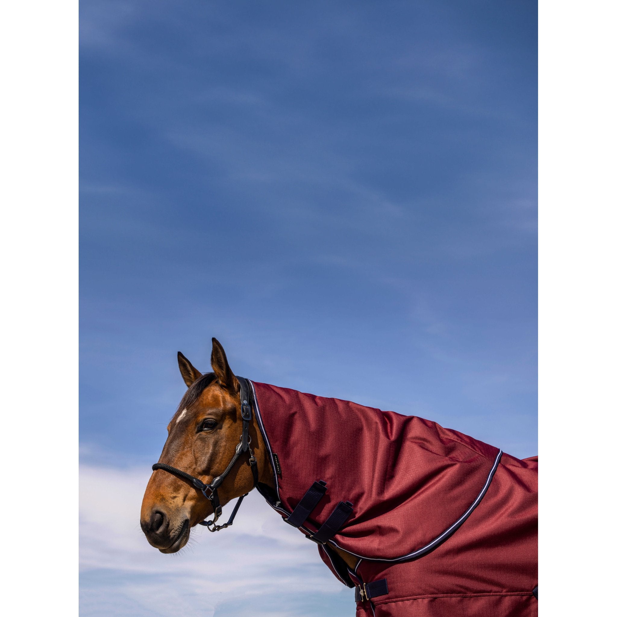 Equithème TYREX 1200D Halstäcke 0 g