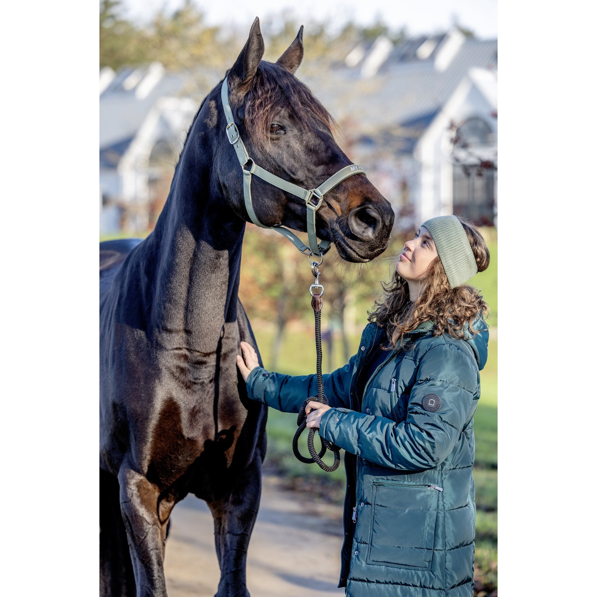 Equipage Vaina pannband
