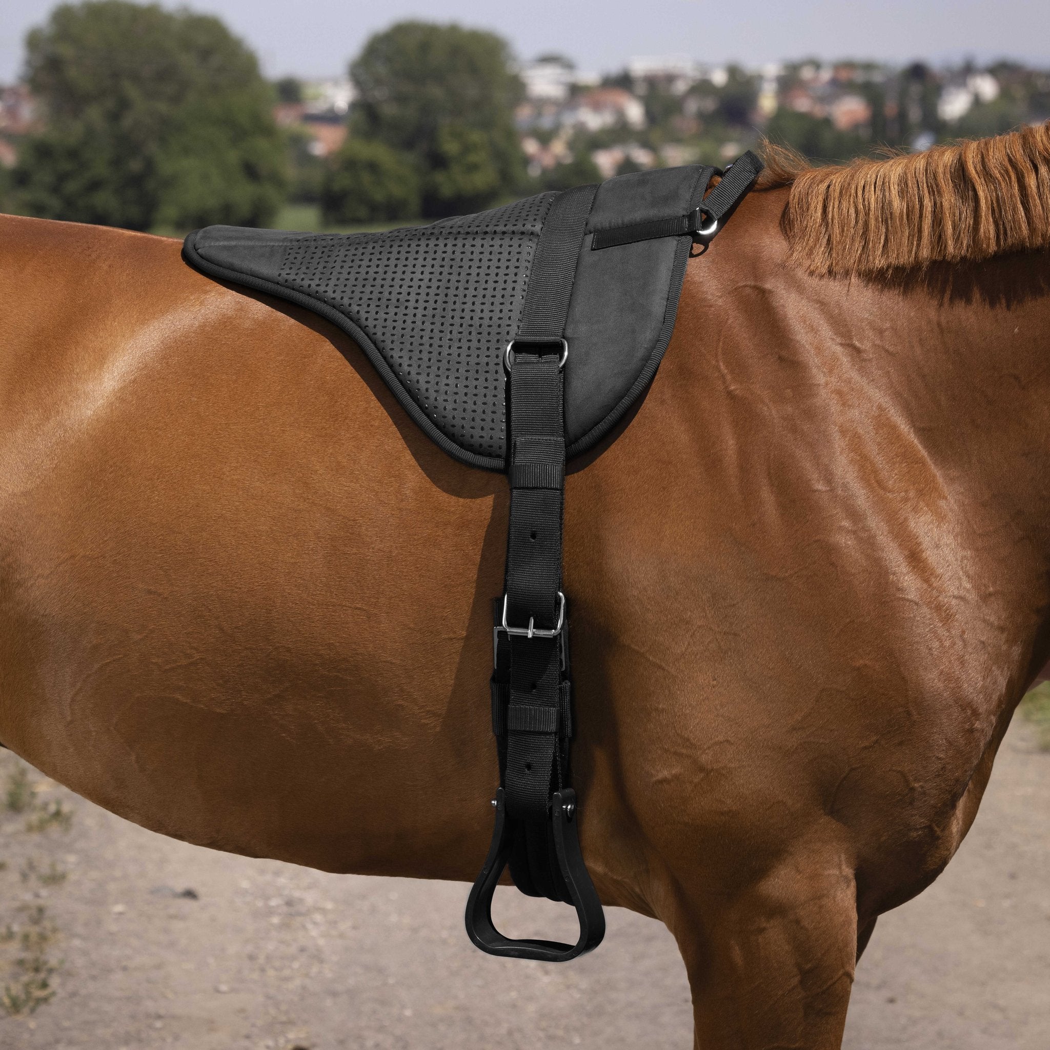 Norton barbackapadd Silicone