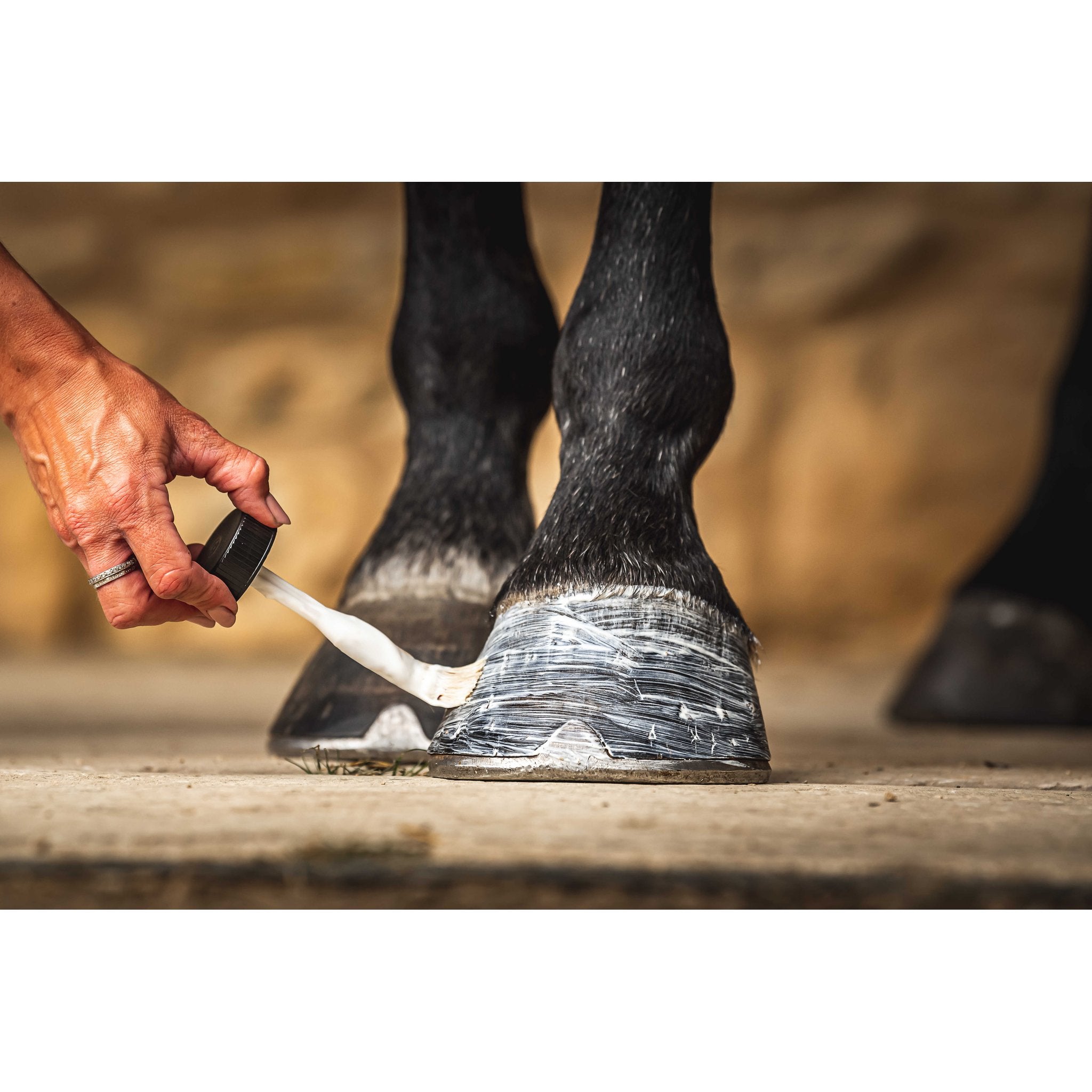 CARR & DAY & MARTIN - Daily Hoof Moisturiser Cornucrescine - Hoof Oil