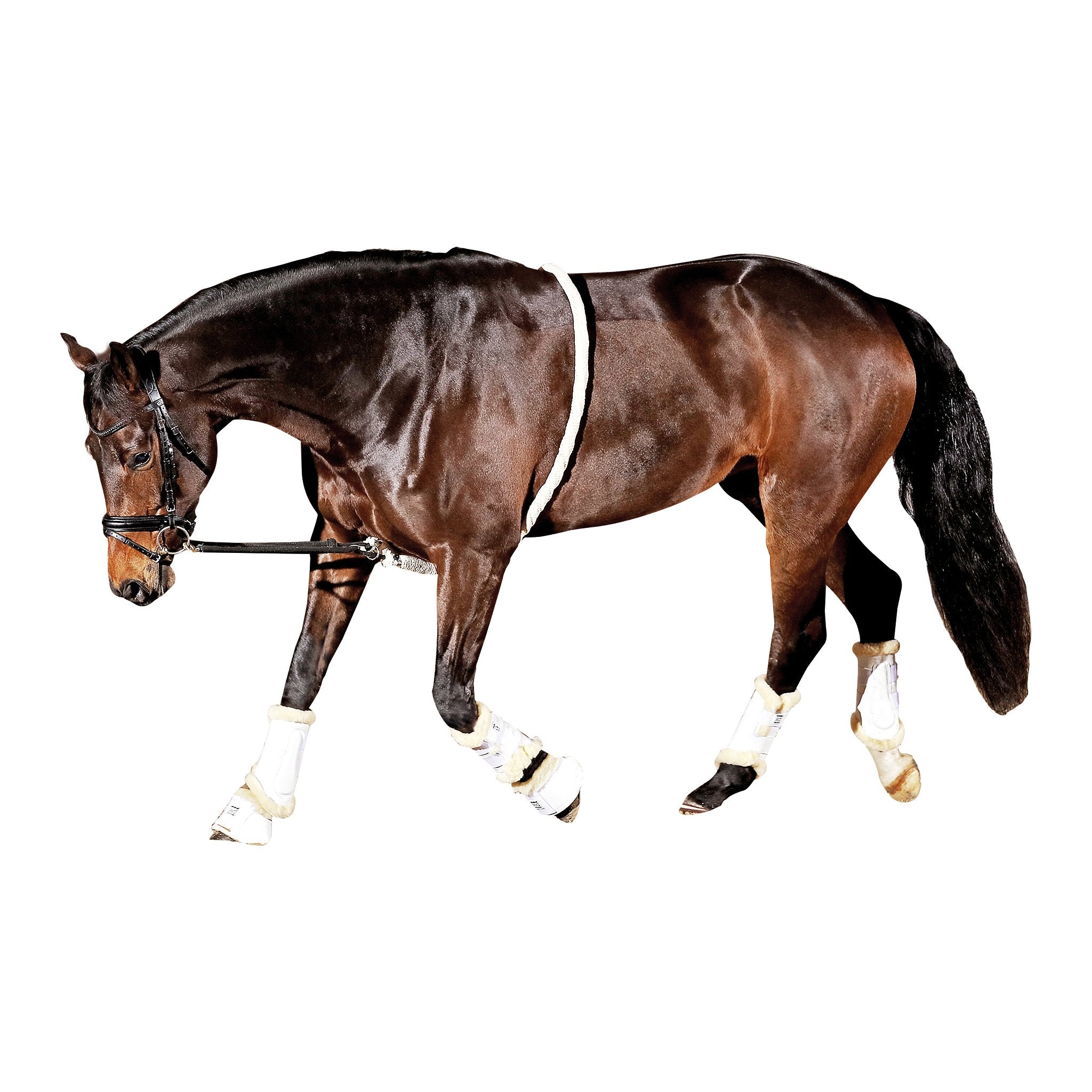 HorseGuard Soft longeringshjälp
