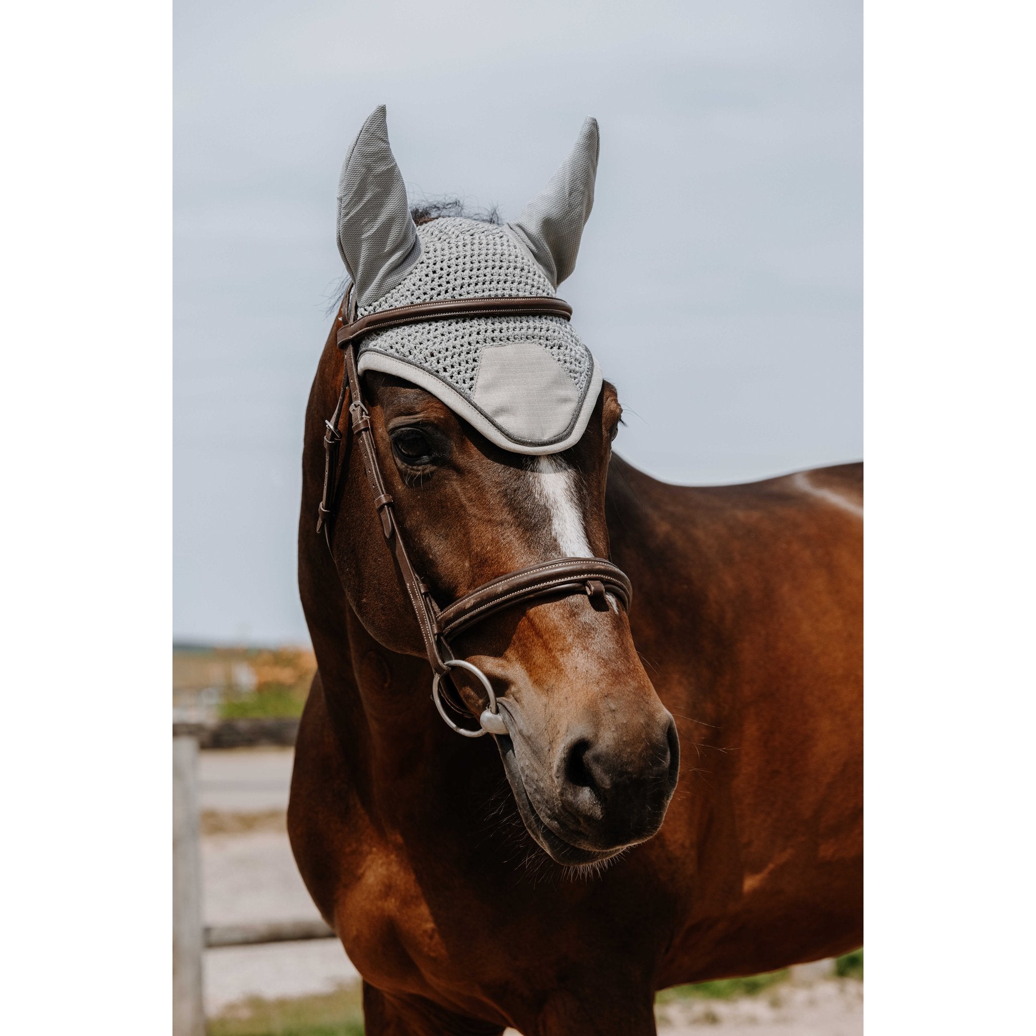 Equithème Chic Luva