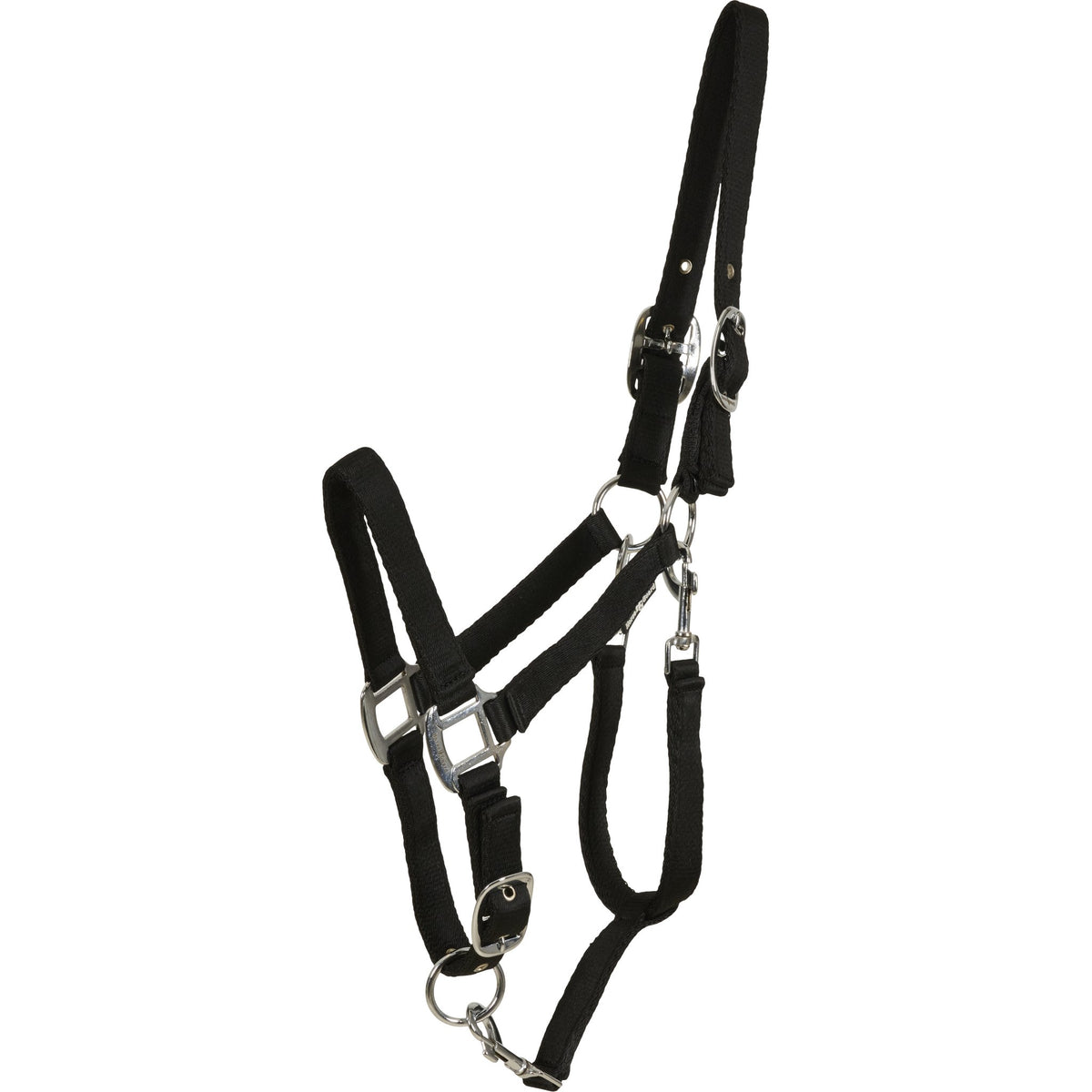 HorseGuard Saby grooming grimma