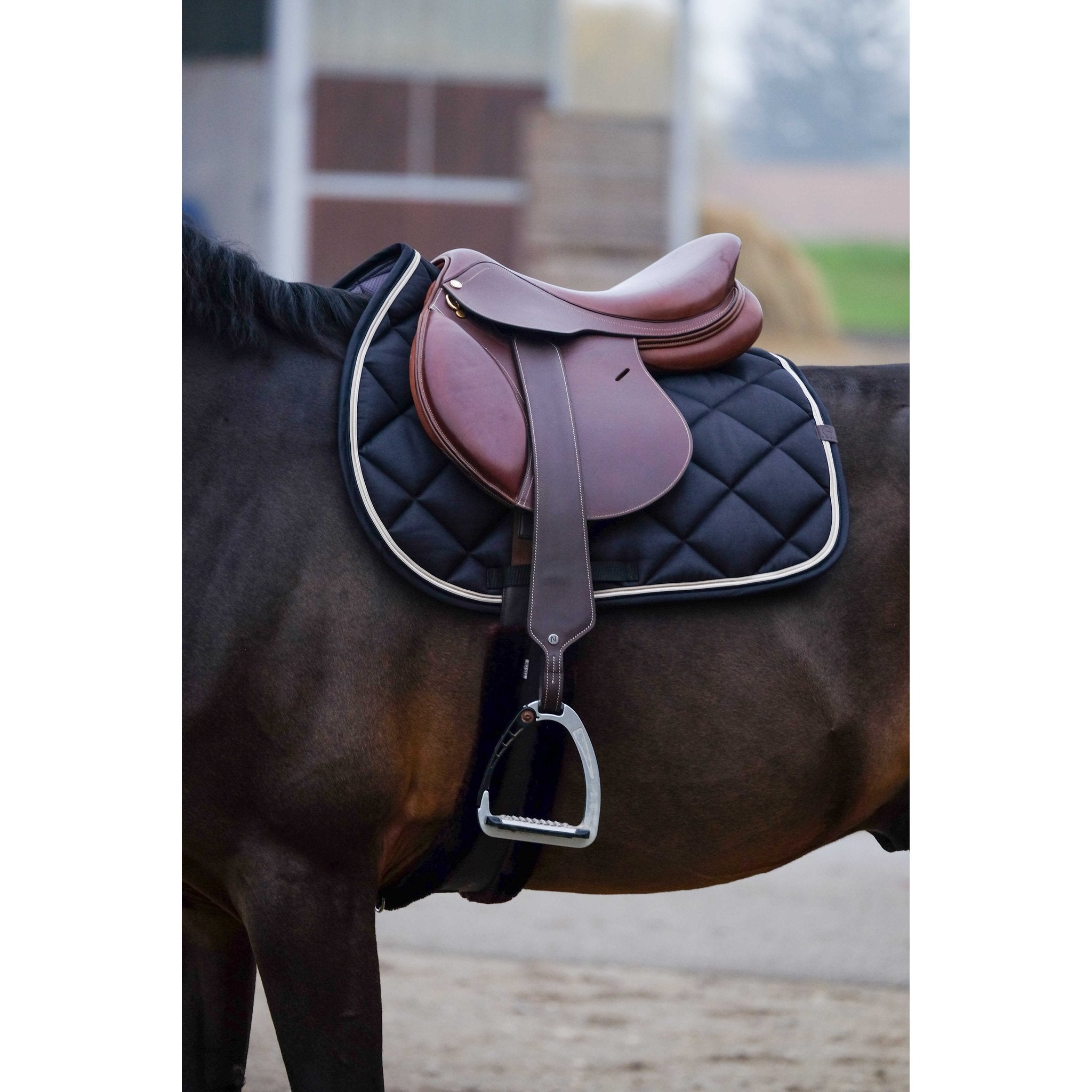 Equithème Classic Schabrak