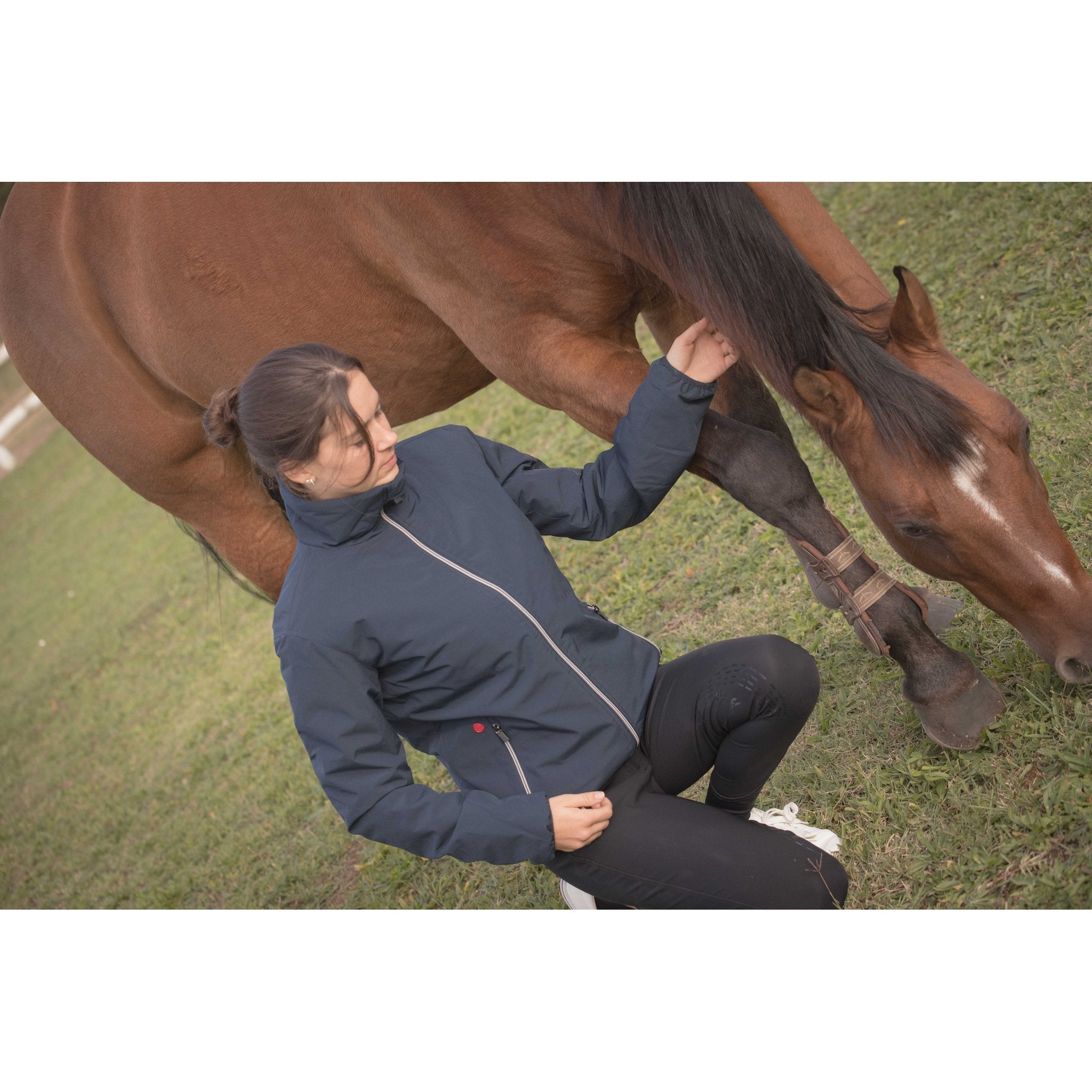 PADDOCK Lafitte Bomberjacka