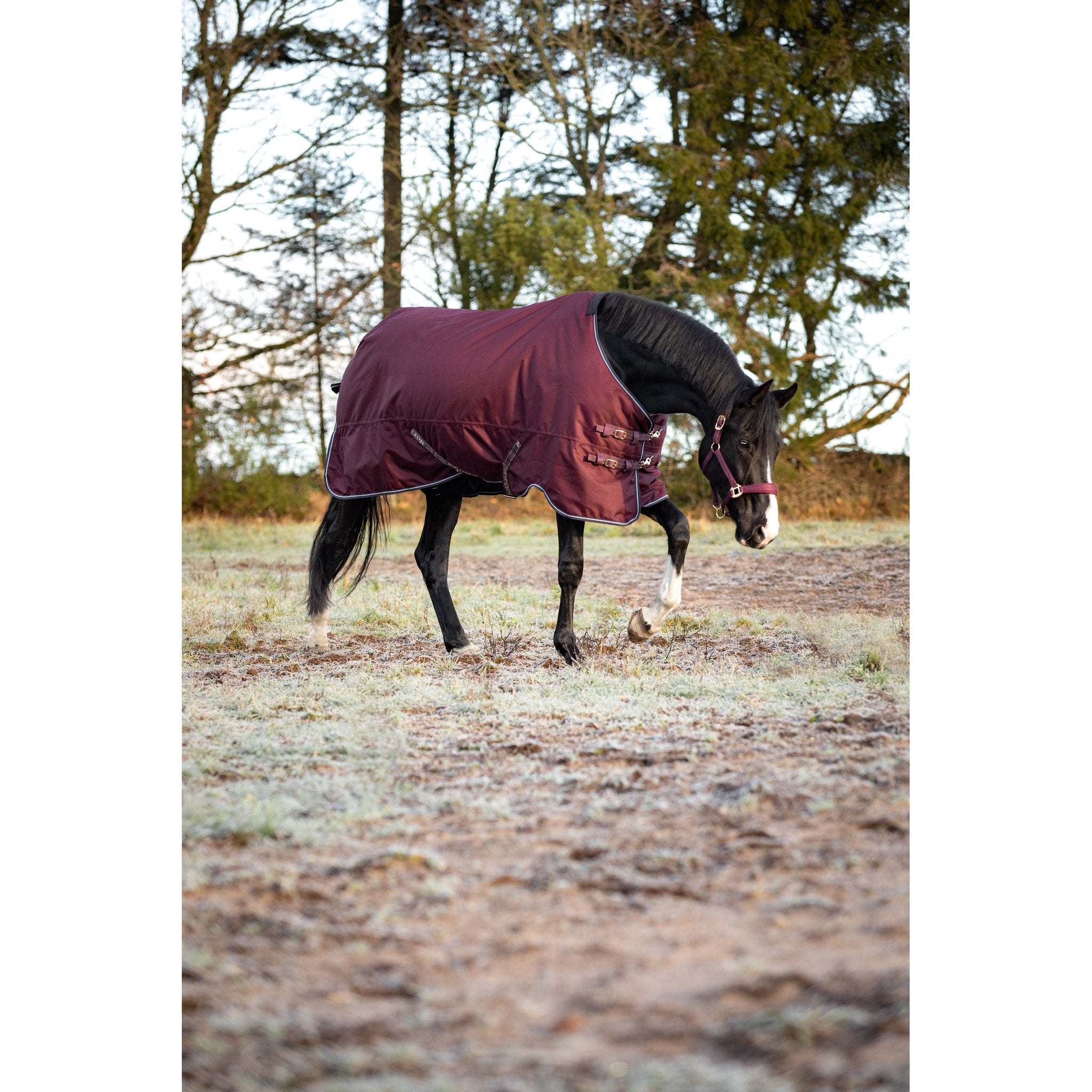 HorseGuard Landon 1200D Turnout täcke 200g