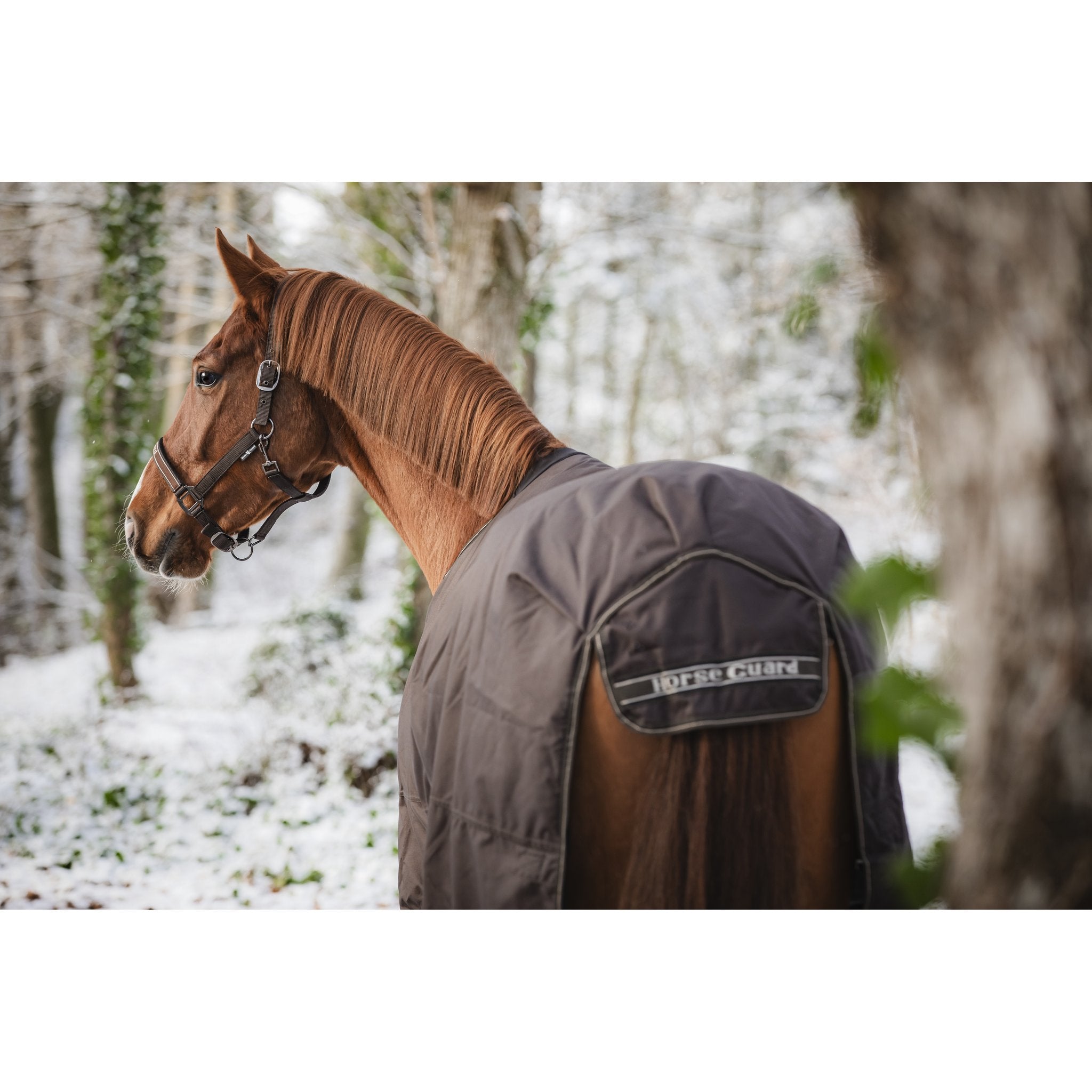 HorseGuard Landon 1200D Turnout täcke 200g