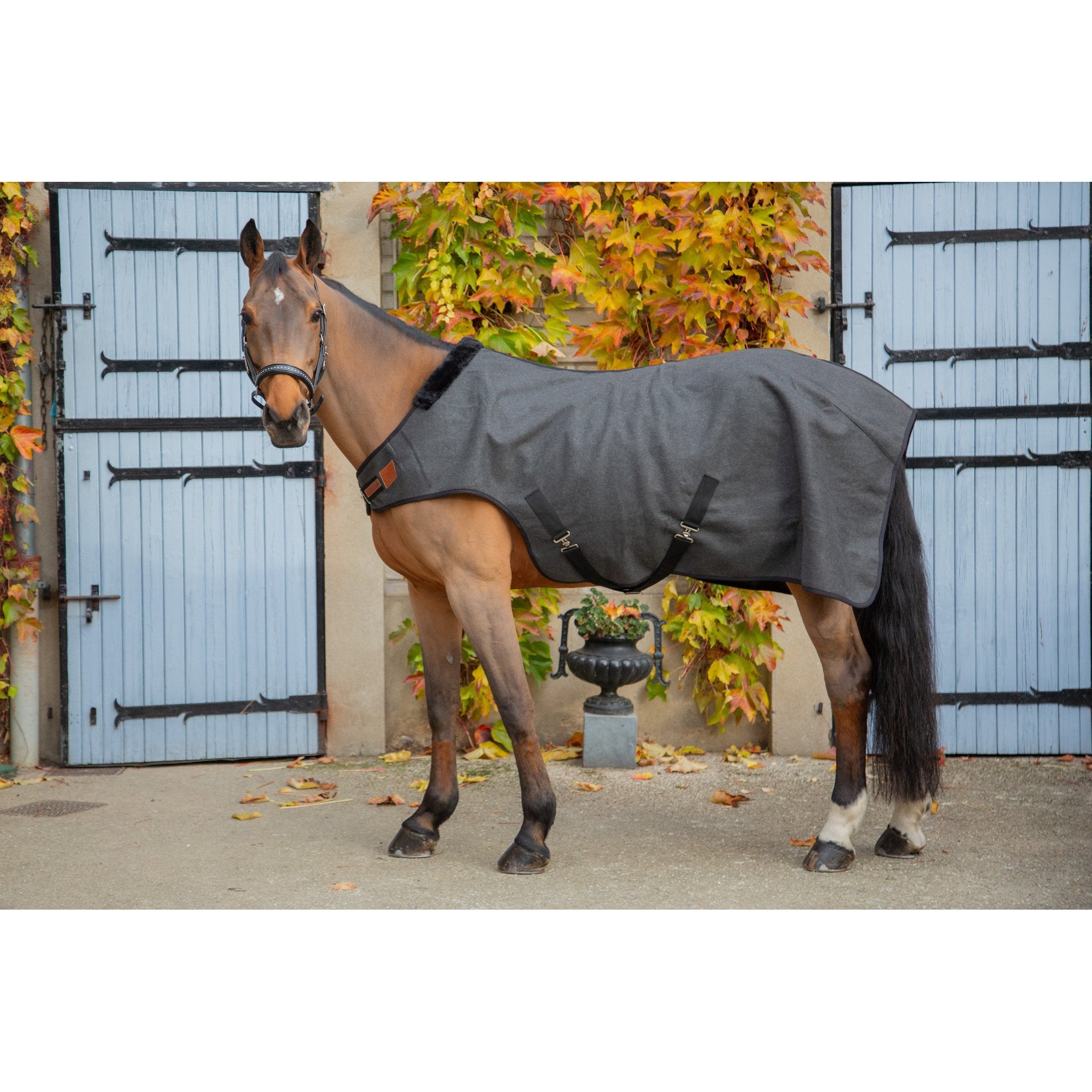 PADDOCK Woolt skrittmaskinstäcke