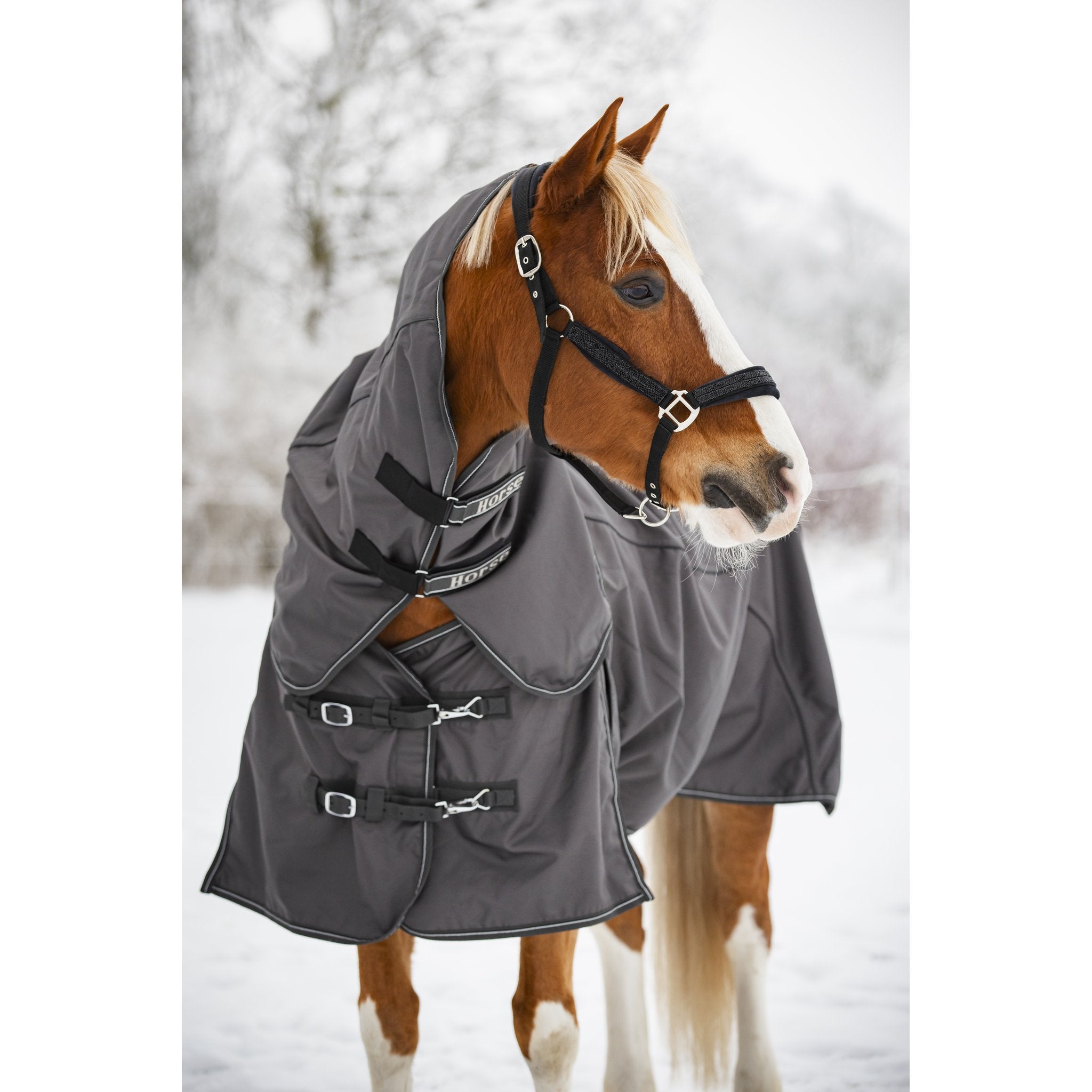 Horse Guard Angel grimma med glitter