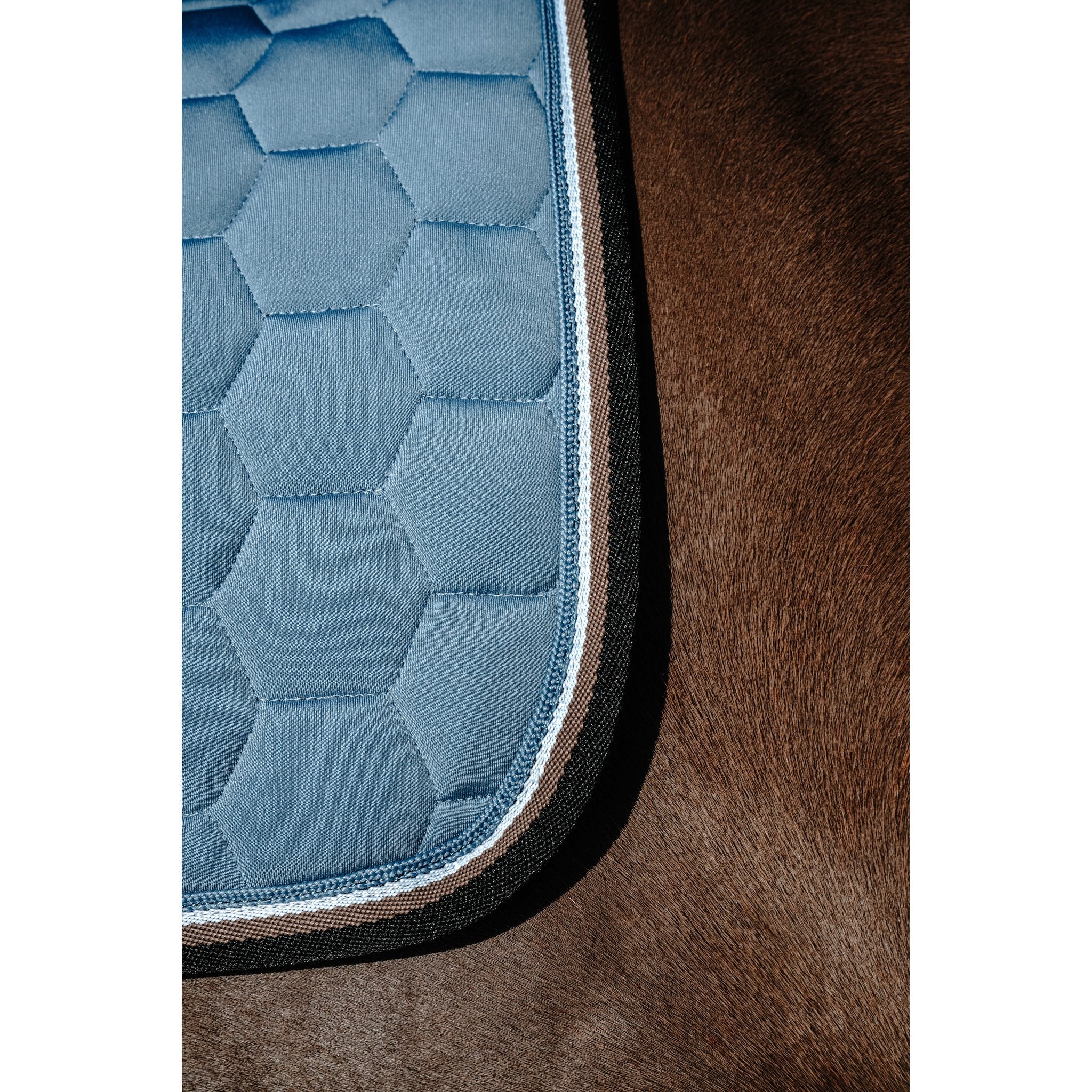 Equitheme Coco schabrak