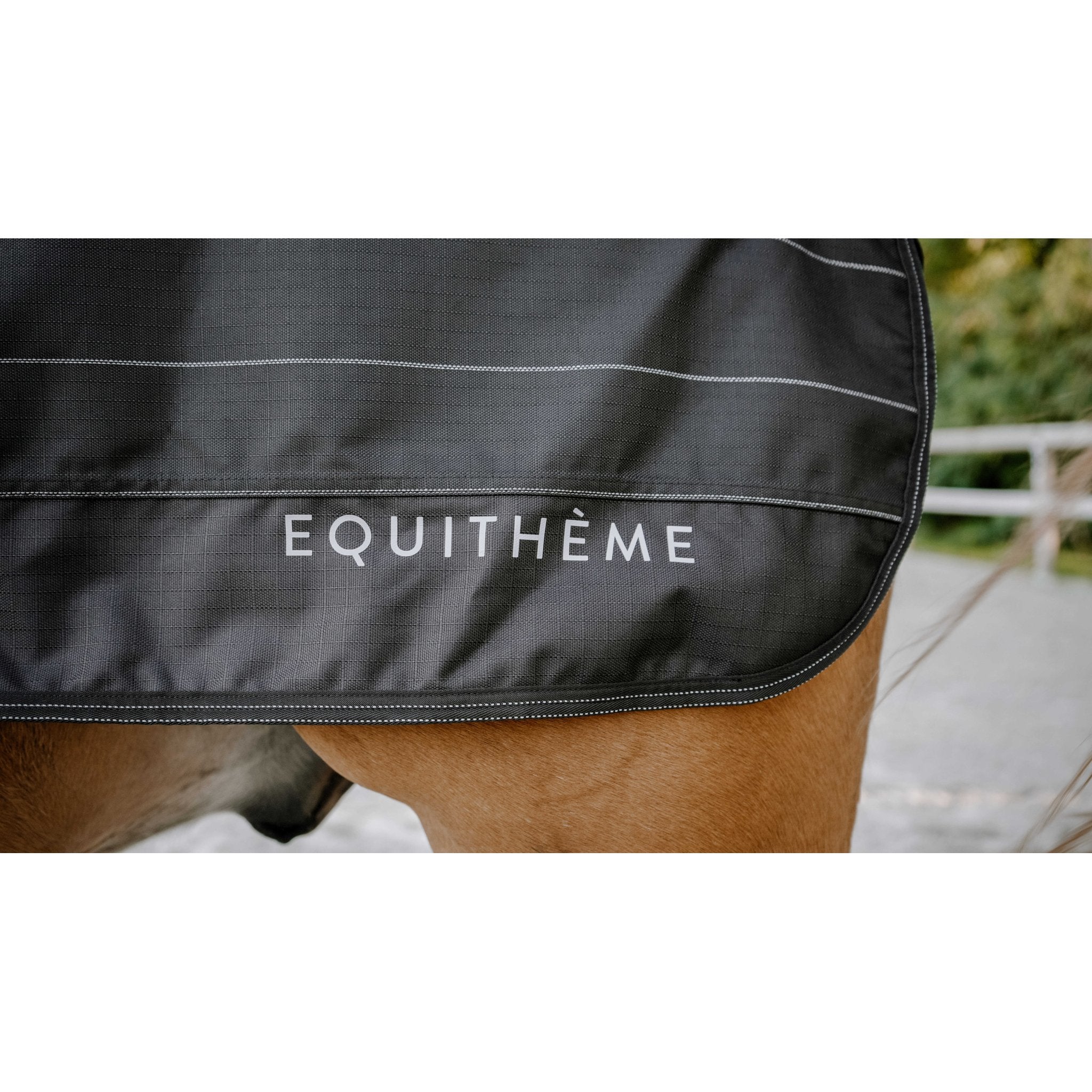 Equitheme TYREX Lumin 600D Skrittäcke