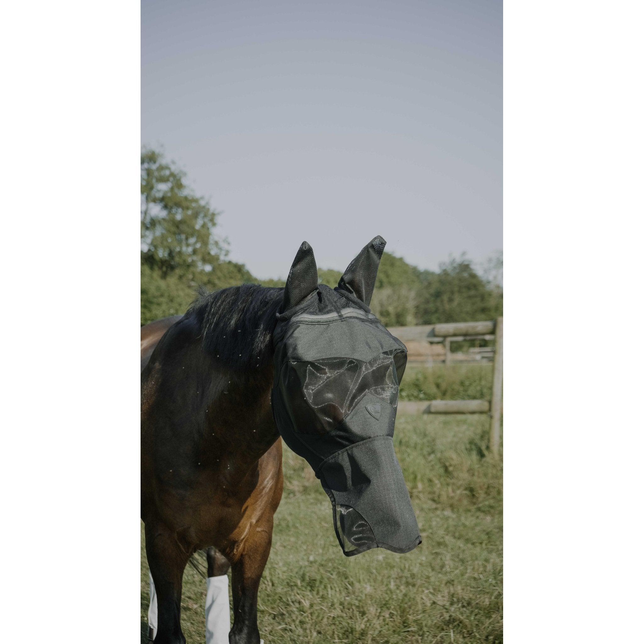 Pro Series Visor flugmask