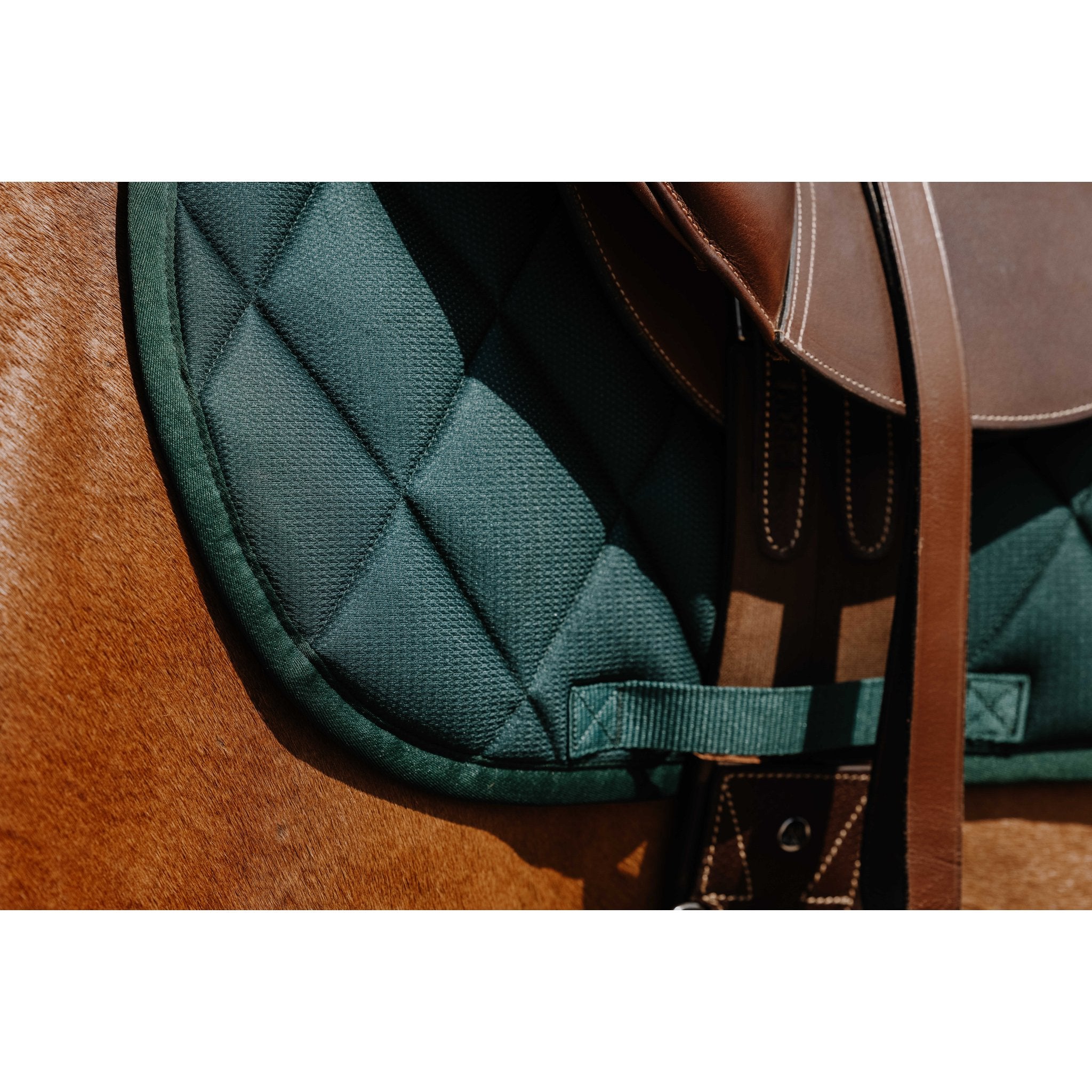 RIDING WORLD School Hoppschabrak