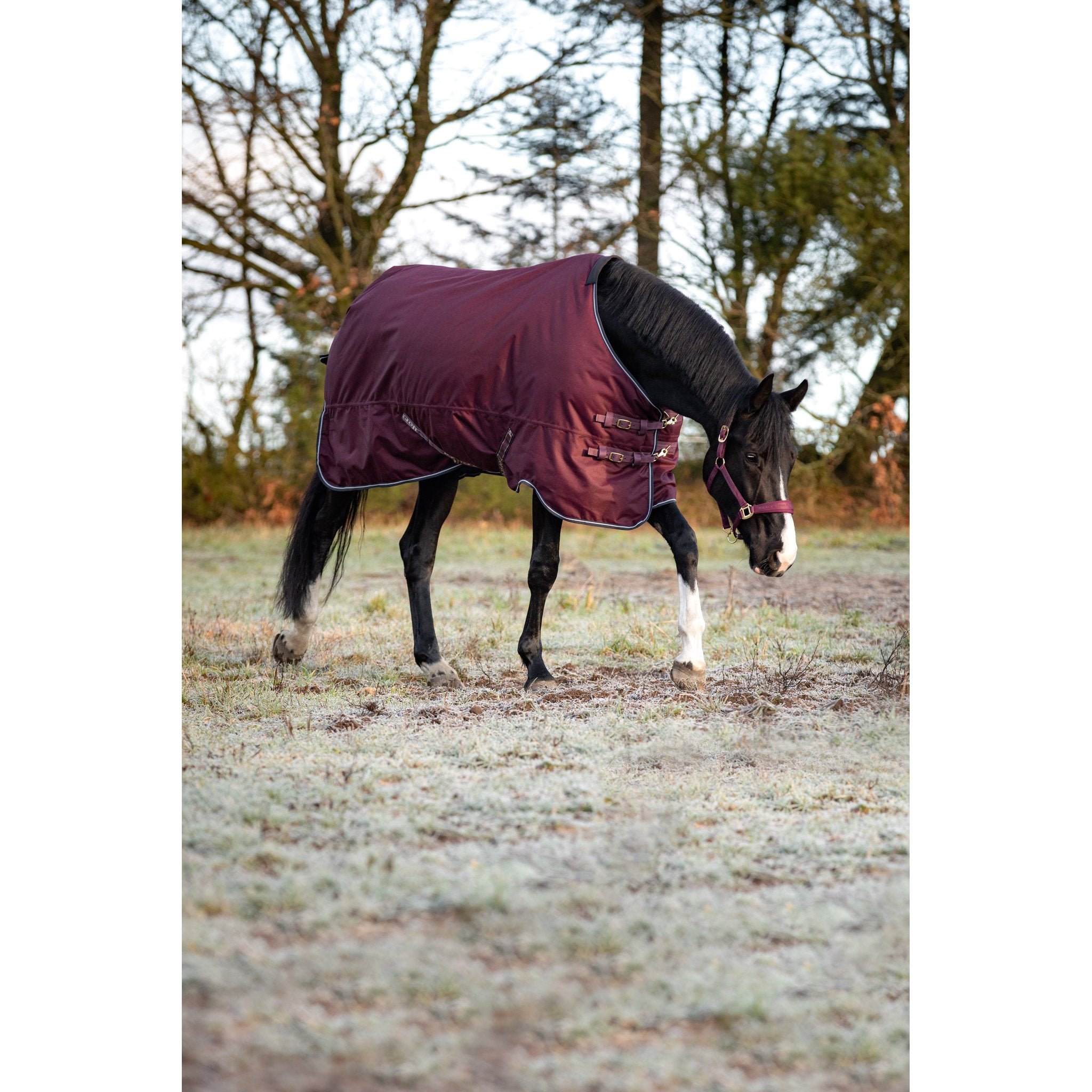 HorseGuard Landon 1200D Turnout täcke 100g